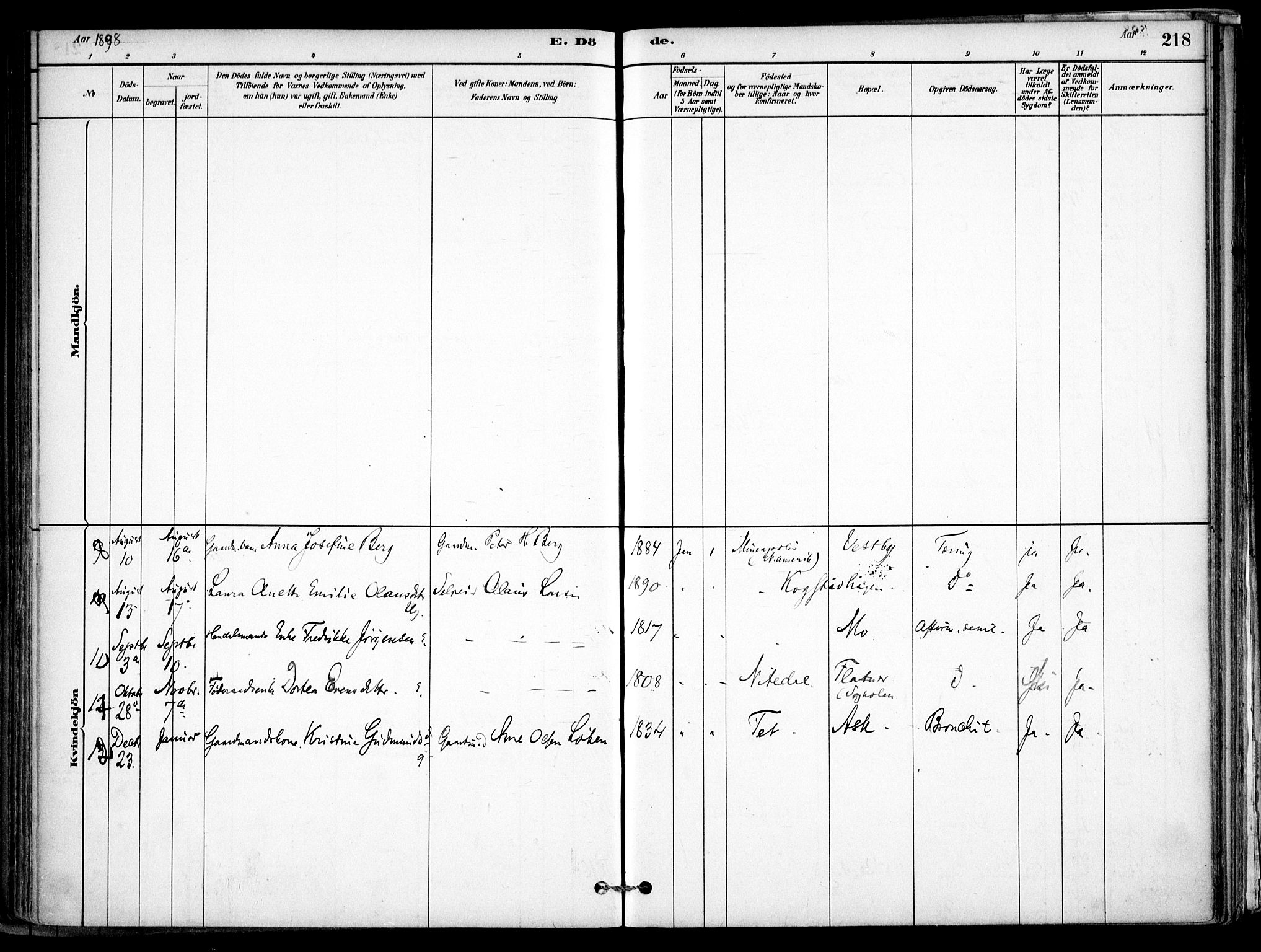 Gjerdrum prestekontor Kirkebøker, SAO/A-10412b/F/Fb/L0001: Parish register (official) no. II 1, 1881-1921, p. 218