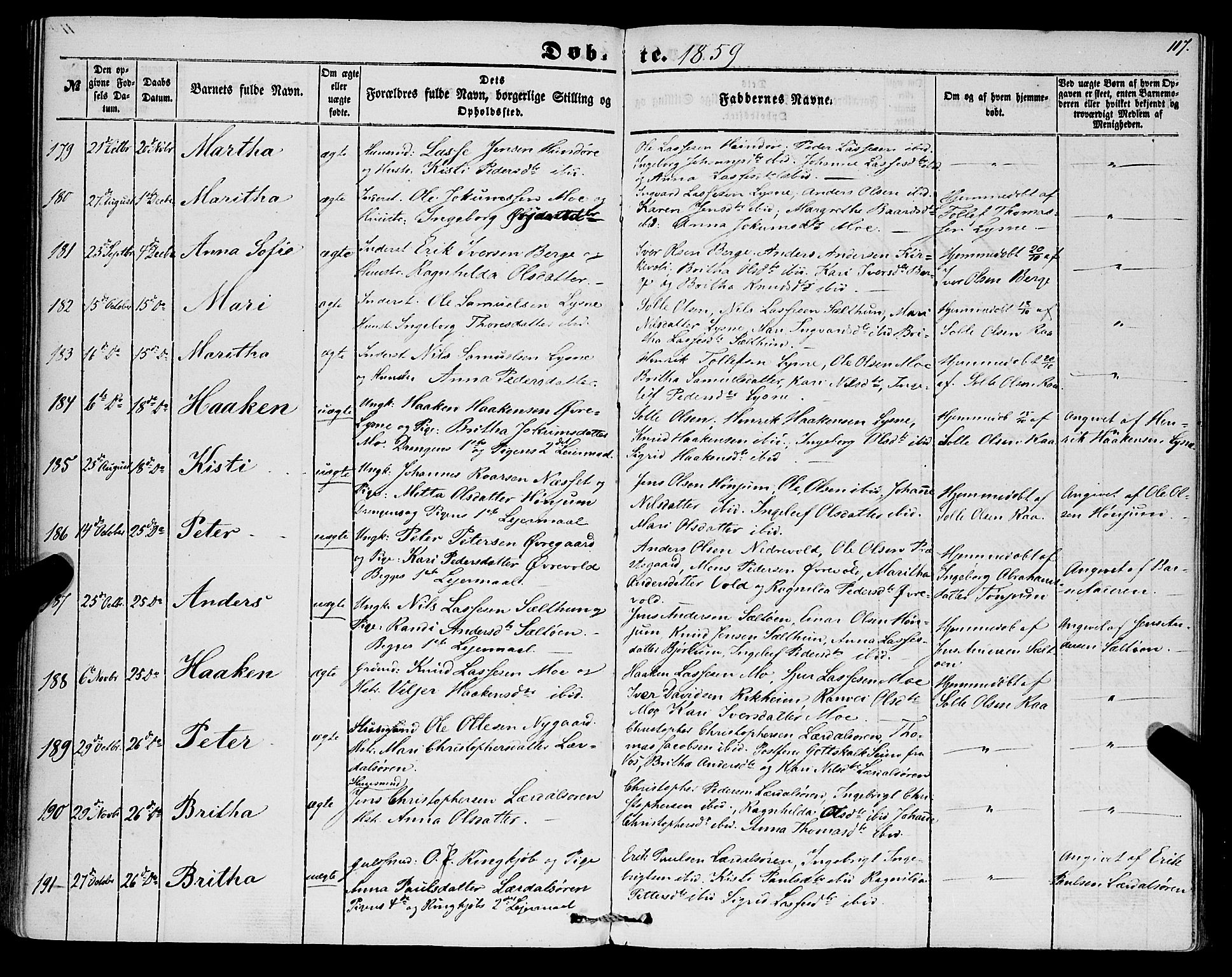 Lærdal sokneprestembete, AV/SAB-A-81201: Parish register (official) no. A 11, 1850-1866, p. 117