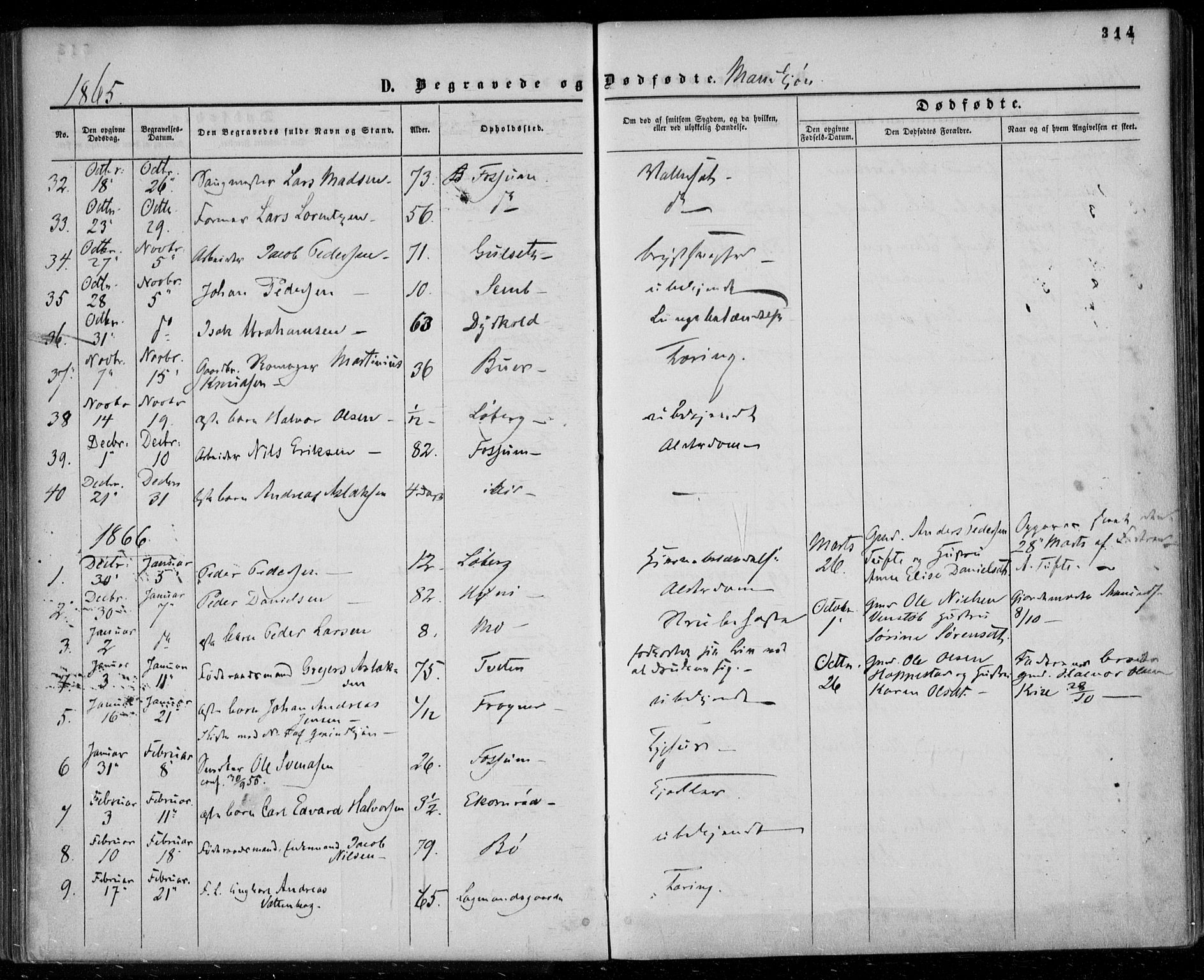 Gjerpen kirkebøker, SAKO/A-265/F/Fa/L0008b: Parish register (official) no. I 8B, 1857-1871, p. 314