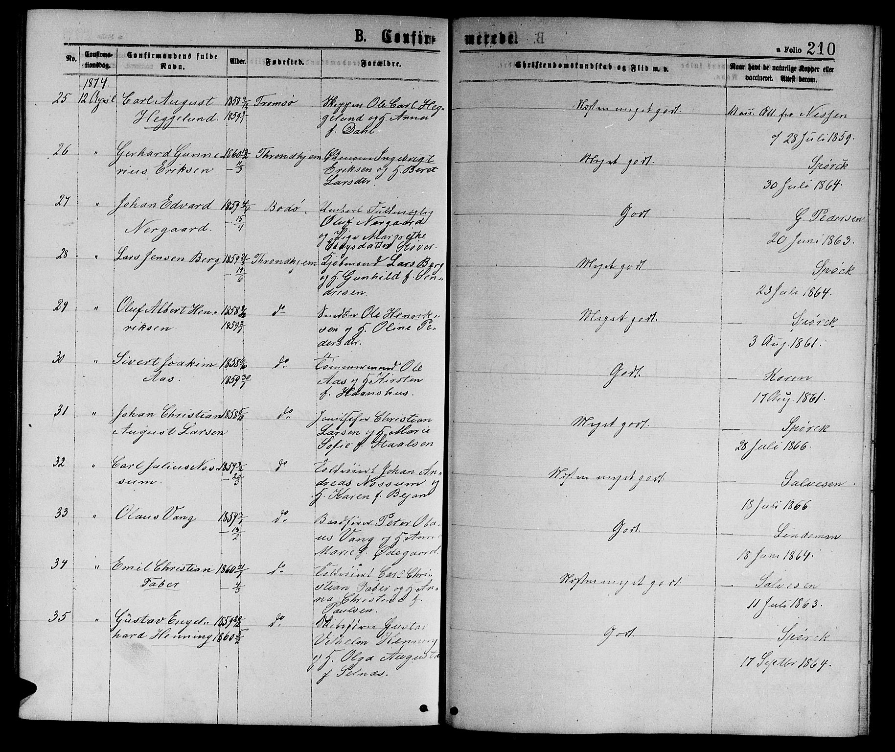 Ministerialprotokoller, klokkerbøker og fødselsregistre - Sør-Trøndelag, AV/SAT-A-1456/601/L0088: Parish register (copy) no. 601C06, 1870-1878, p. 210