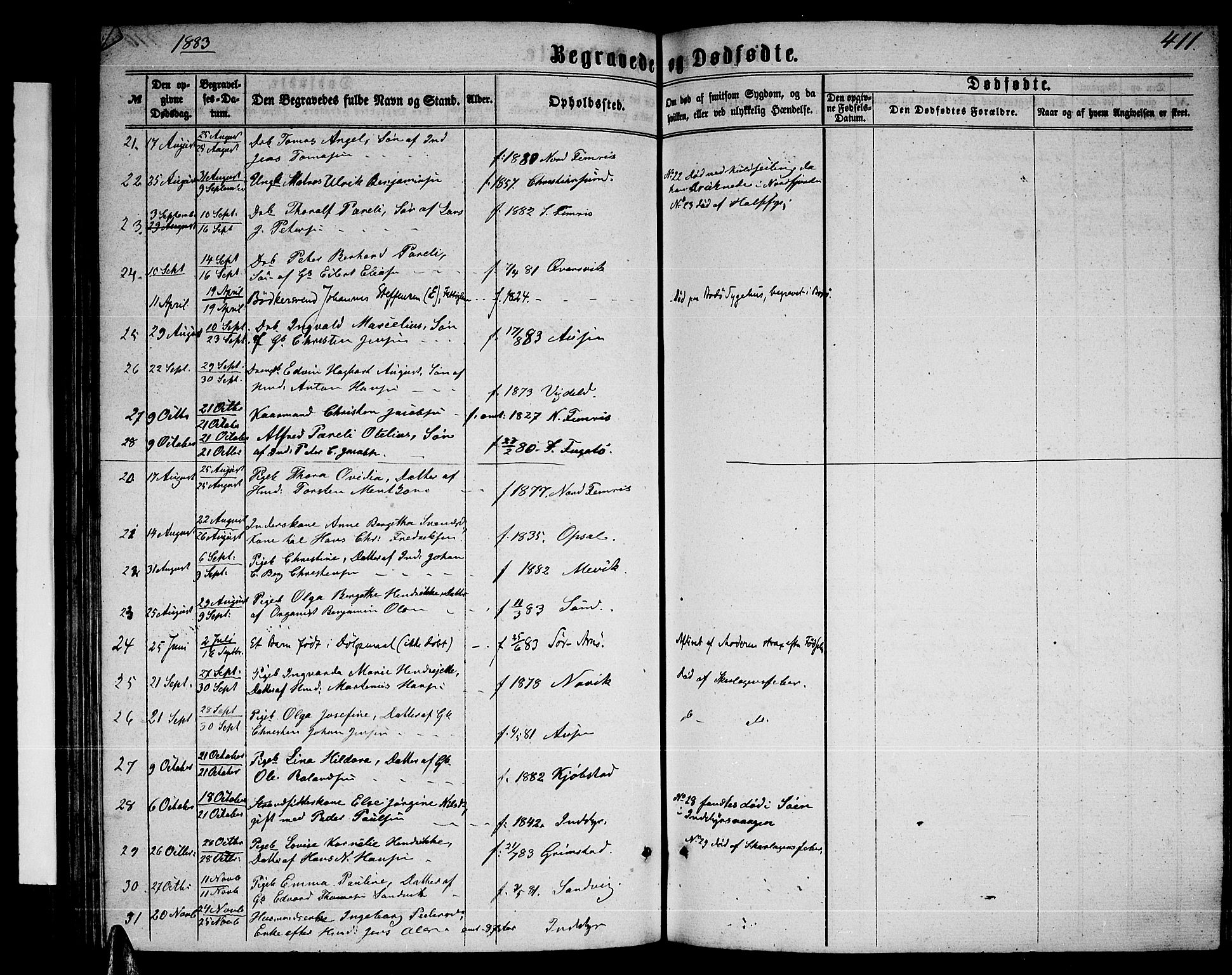 Ministerialprotokoller, klokkerbøker og fødselsregistre - Nordland, AV/SAT-A-1459/805/L0107: Parish register (copy) no. 805C03, 1862-1885, p. 411