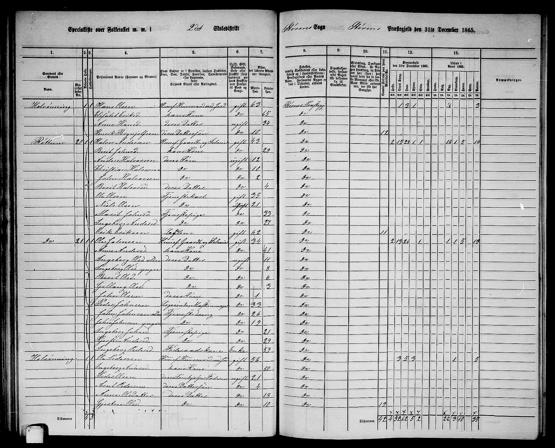 RA, 1865 census for Støren, 1865, p. 43