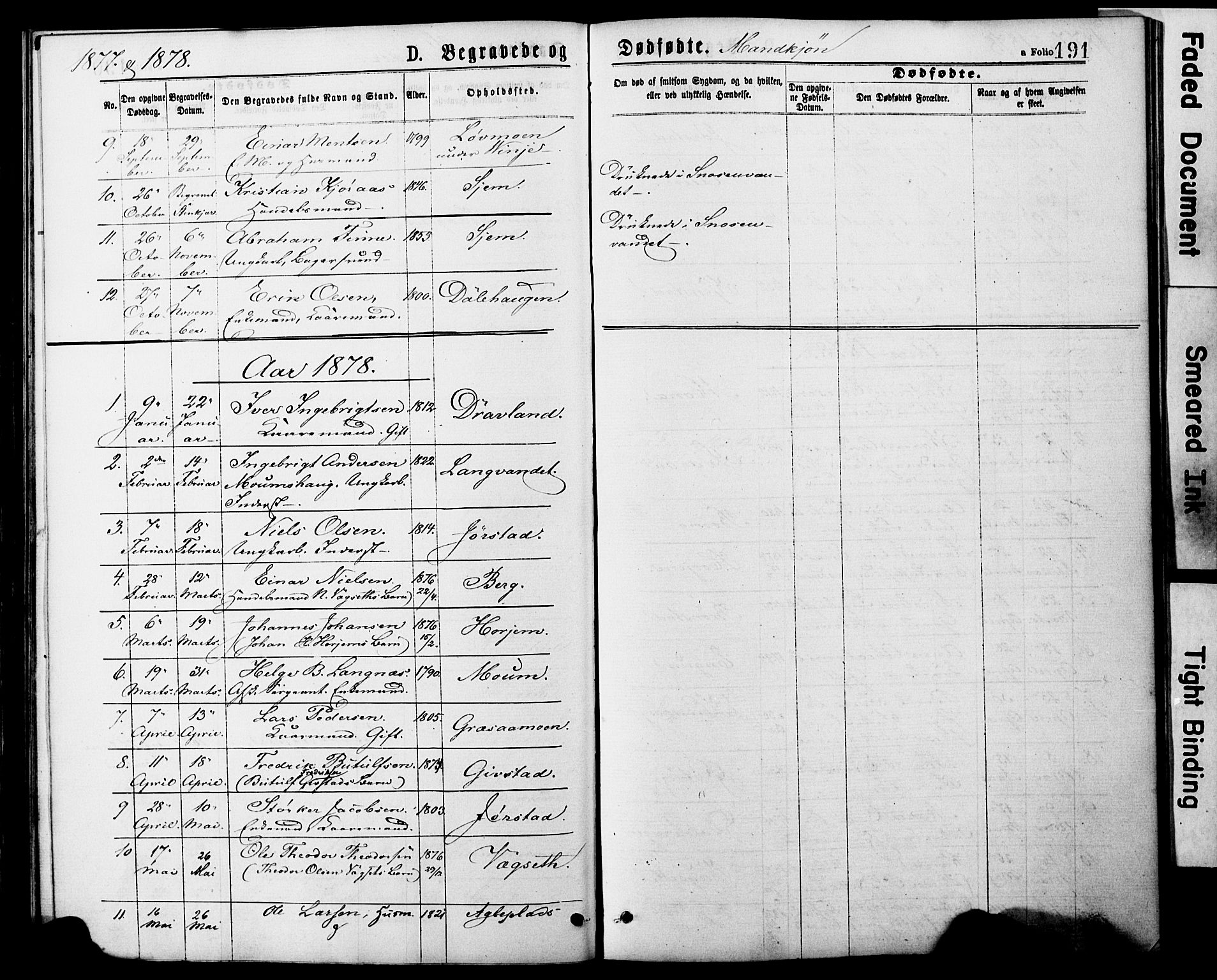 Ministerialprotokoller, klokkerbøker og fødselsregistre - Nord-Trøndelag, SAT/A-1458/749/L0473: Parish register (official) no. 749A07, 1873-1887, p. 191