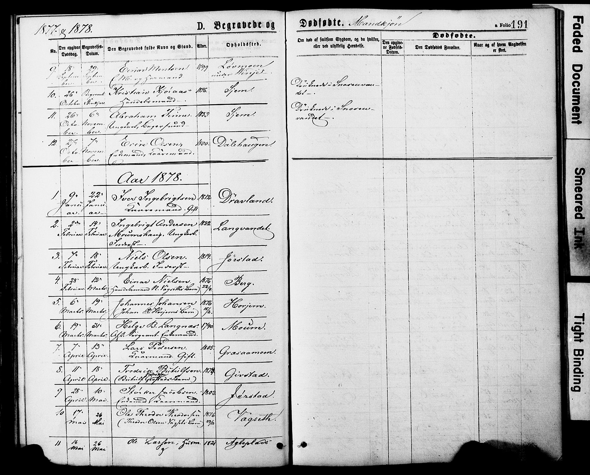 Ministerialprotokoller, klokkerbøker og fødselsregistre - Nord-Trøndelag, AV/SAT-A-1458/749/L0473: Parish register (official) no. 749A07, 1873-1887, p. 191