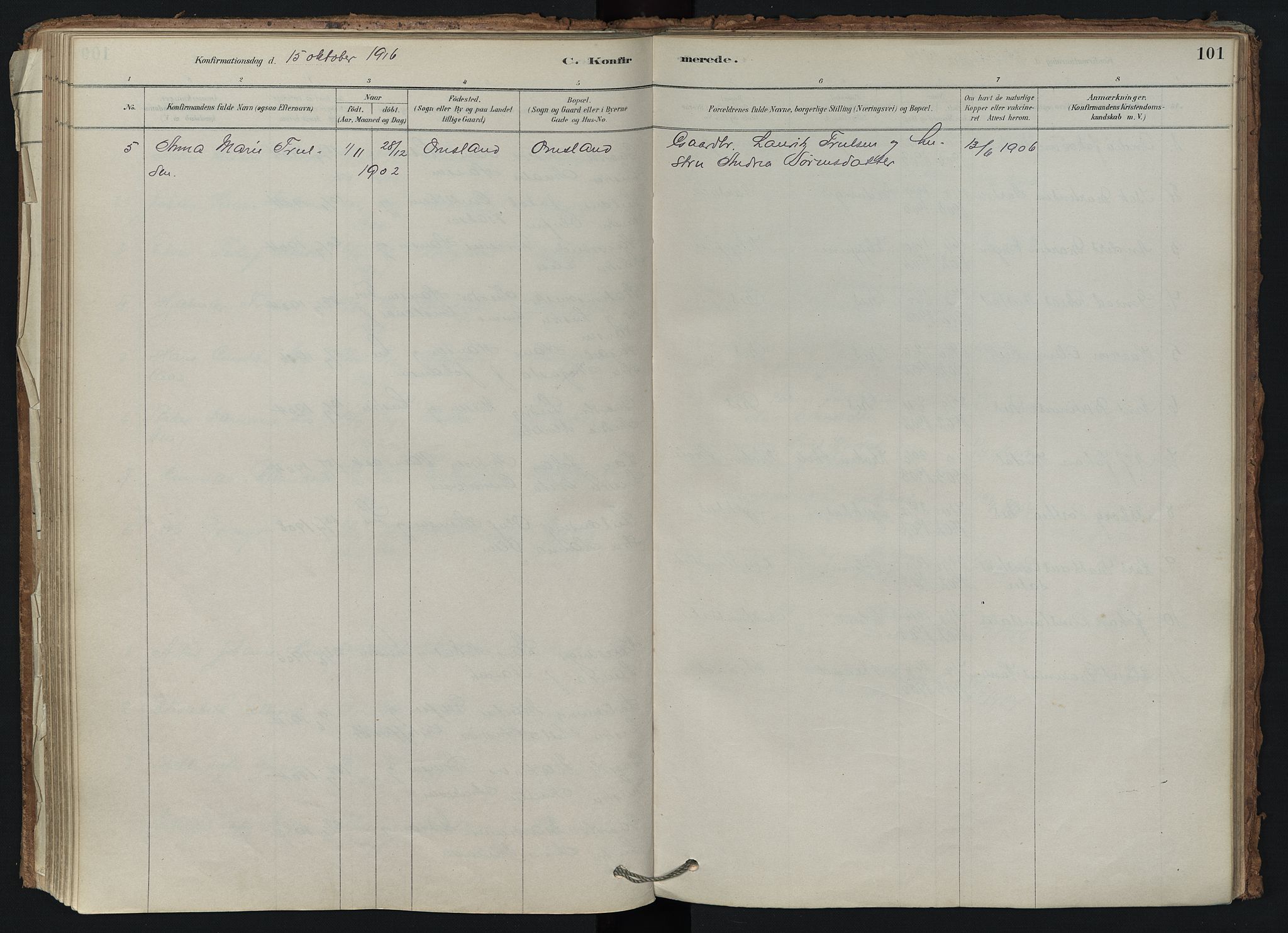 Brunlanes kirkebøker, AV/SAKO-A-342/F/Fd/L0001: Parish register (official) no. IV 1, 1878-1917, p. 101