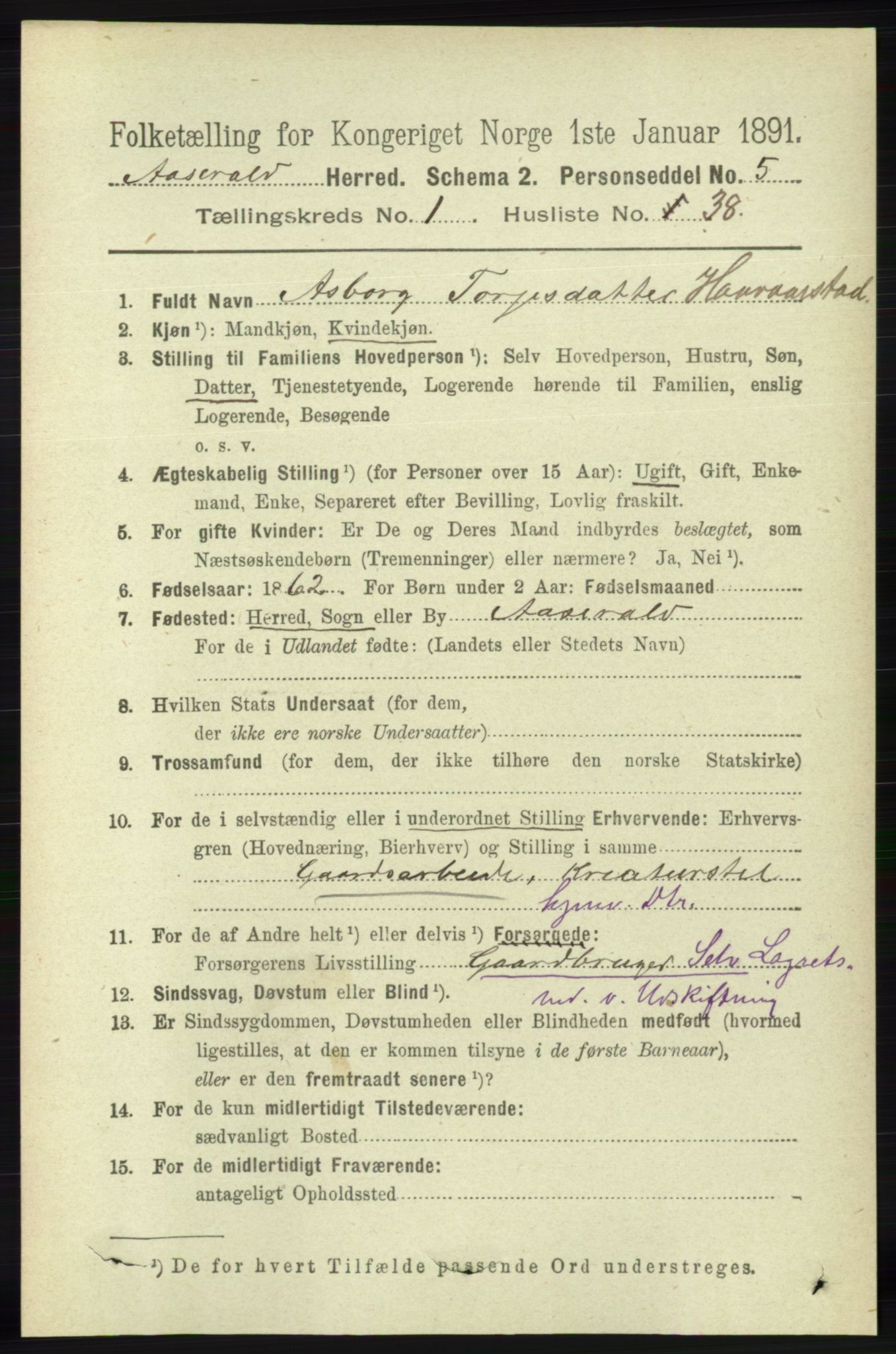 RA, 1891 census for 1026 Åseral, 1891, p. 315