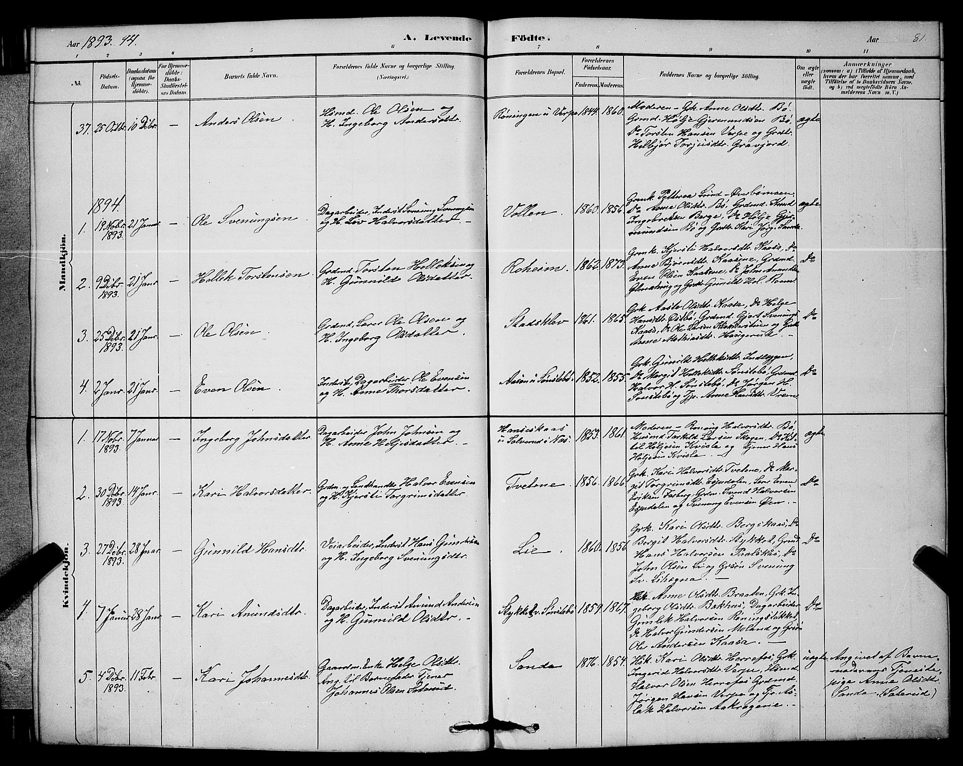 Bø kirkebøker, SAKO/A-257/G/Ga/L0005: Parish register (copy) no. 5, 1883-1897, p. 81