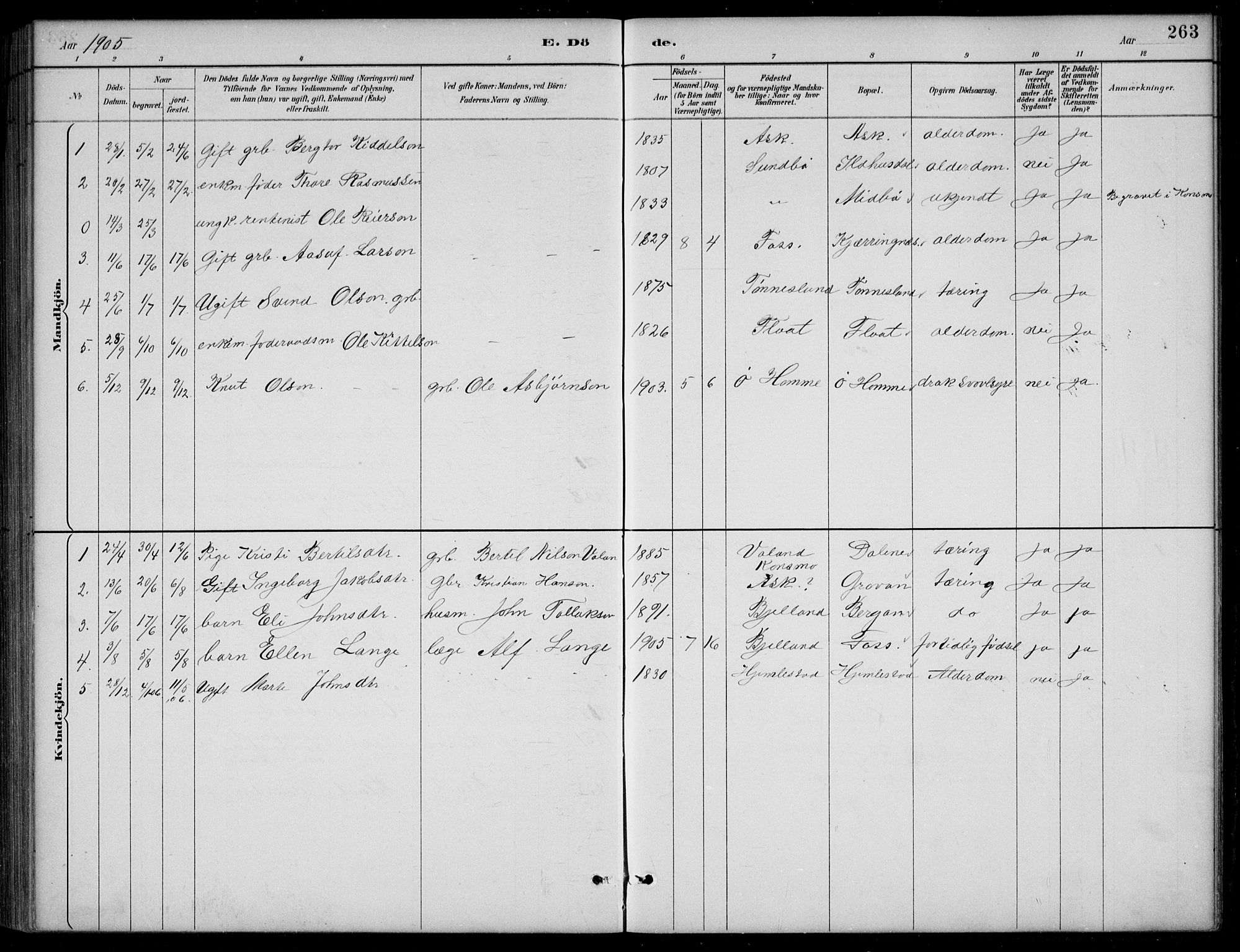 Bjelland sokneprestkontor, AV/SAK-1111-0005/F/Fb/Fba/L0005: Parish register (copy) no. B 5, 1887-1923, p. 263