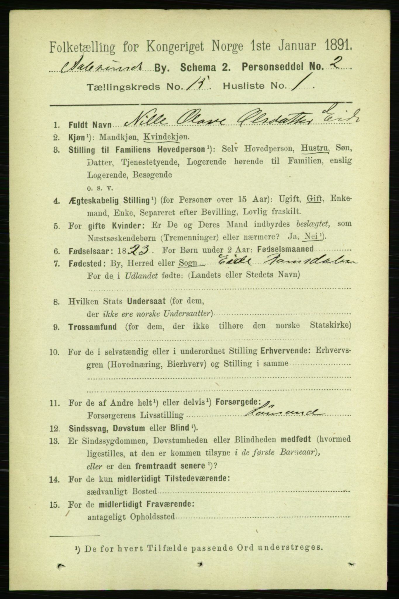 RA, 1891 census for 1501 Ålesund, 1891, p. 8917