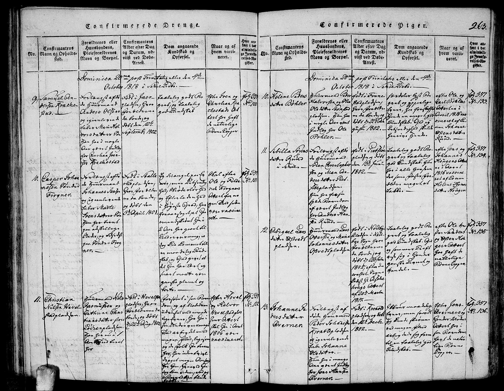 Kråkstad prestekontor Kirkebøker, AV/SAO-A-10125a/F/Fa/L0003: Parish register (official) no. I 3, 1813-1824, p. 263