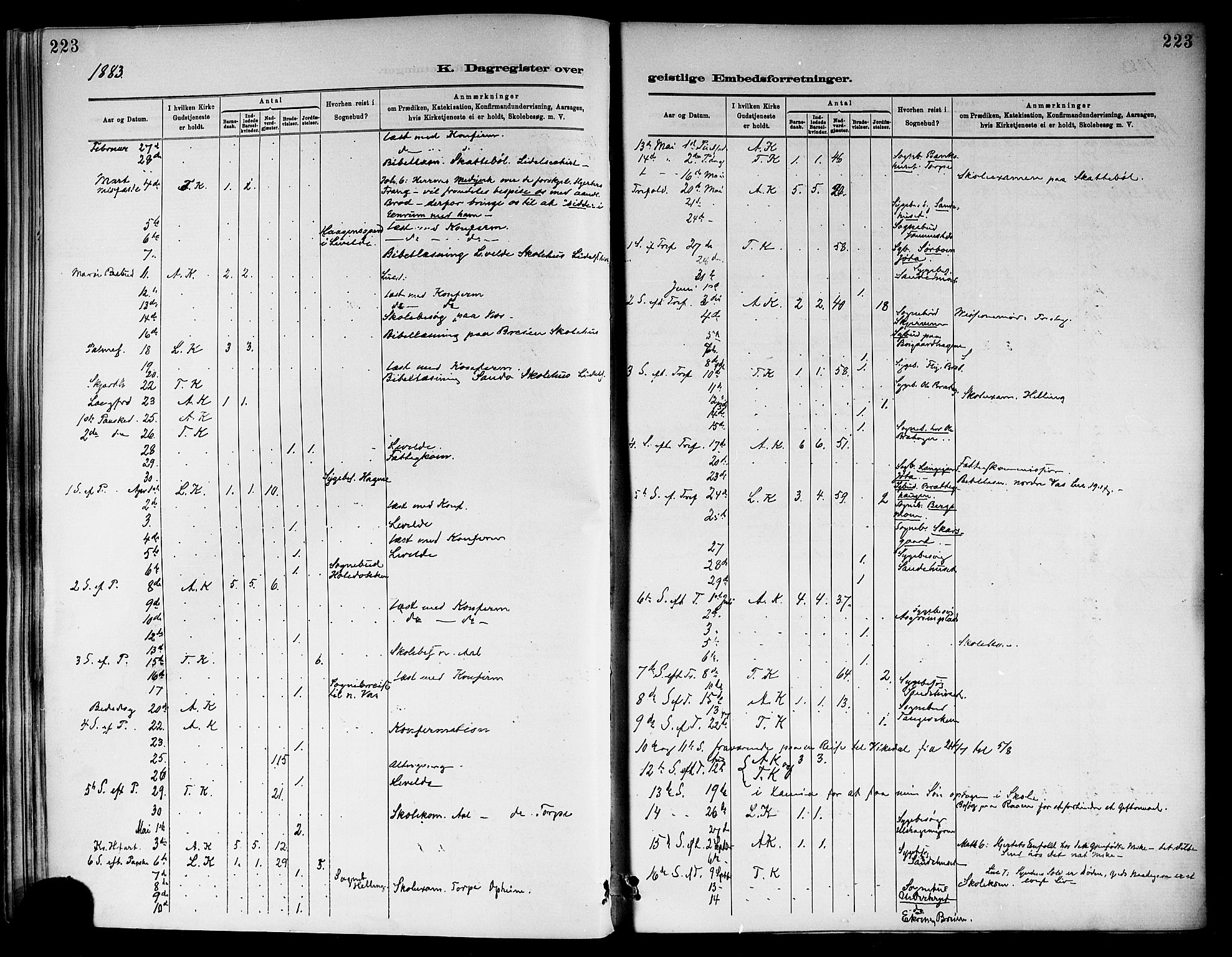 Ål kirkebøker, SAKO/A-249/F/Fa/L0008: Parish register (official) no. I 8, 1882-1896, p. 223