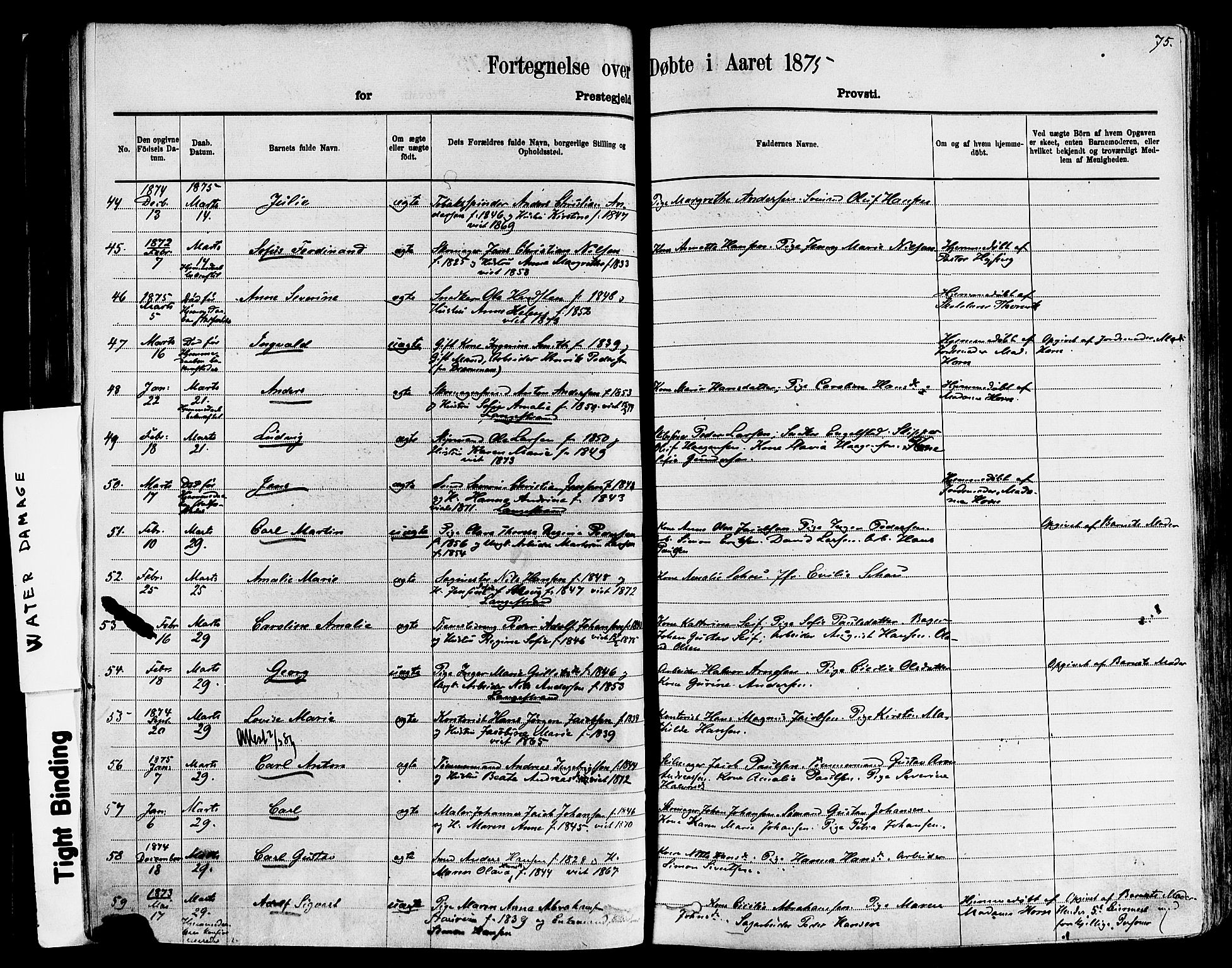 Larvik kirkebøker, SAKO/A-352/F/Fa/L0006: Parish register (official) no. I 6, 1871-1883, p. 75