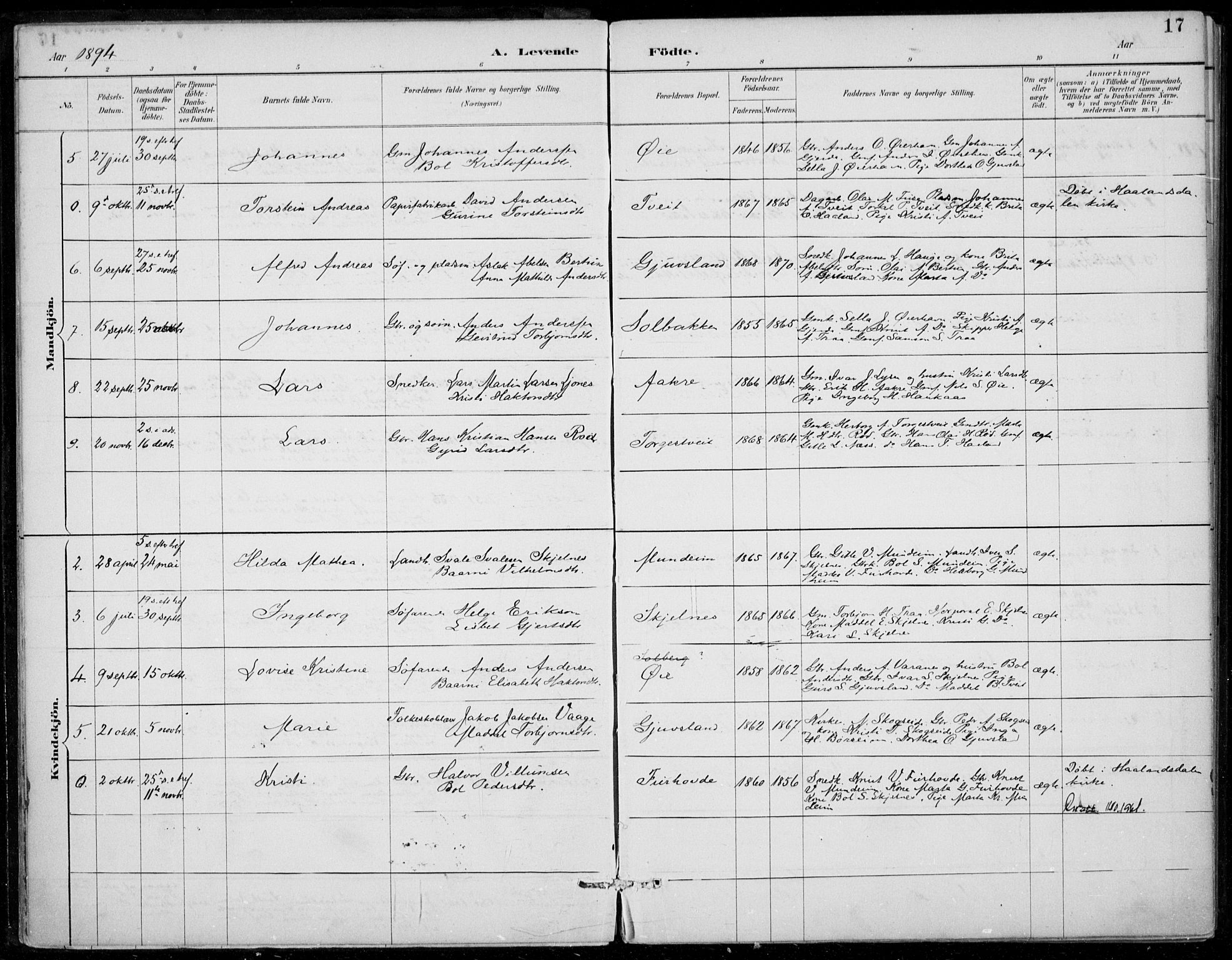 Strandebarm sokneprestembete, AV/SAB-A-78401/H/Haa: Parish register (official) no. D  1, 1886-1912, p. 17