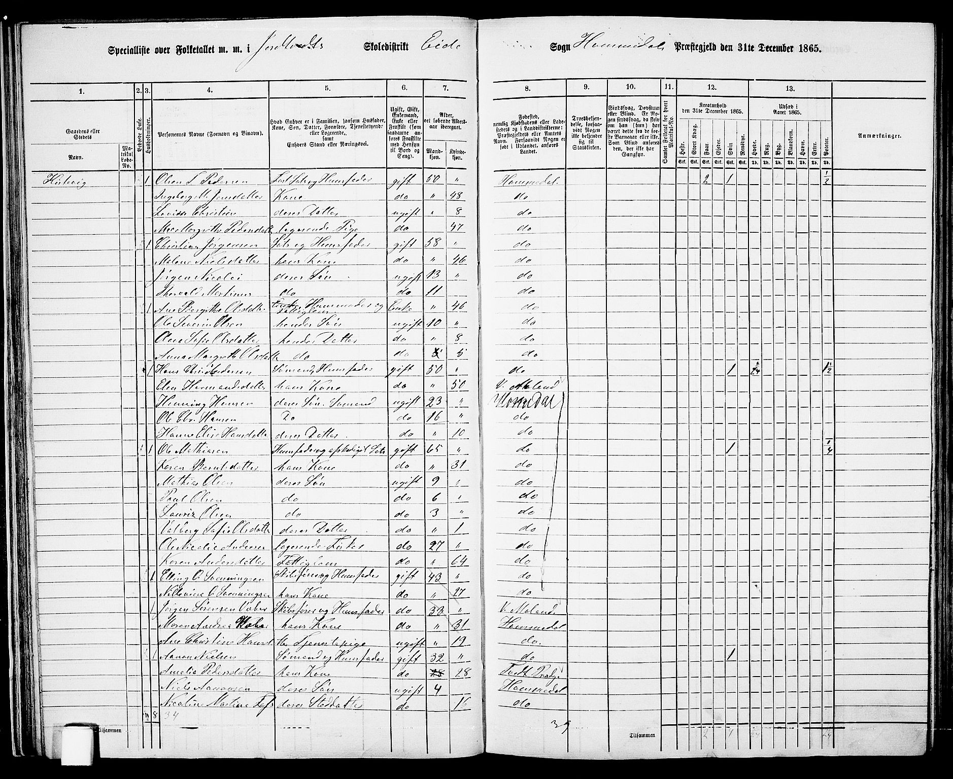 RA, 1865 census for Homedal, 1865, p. 37