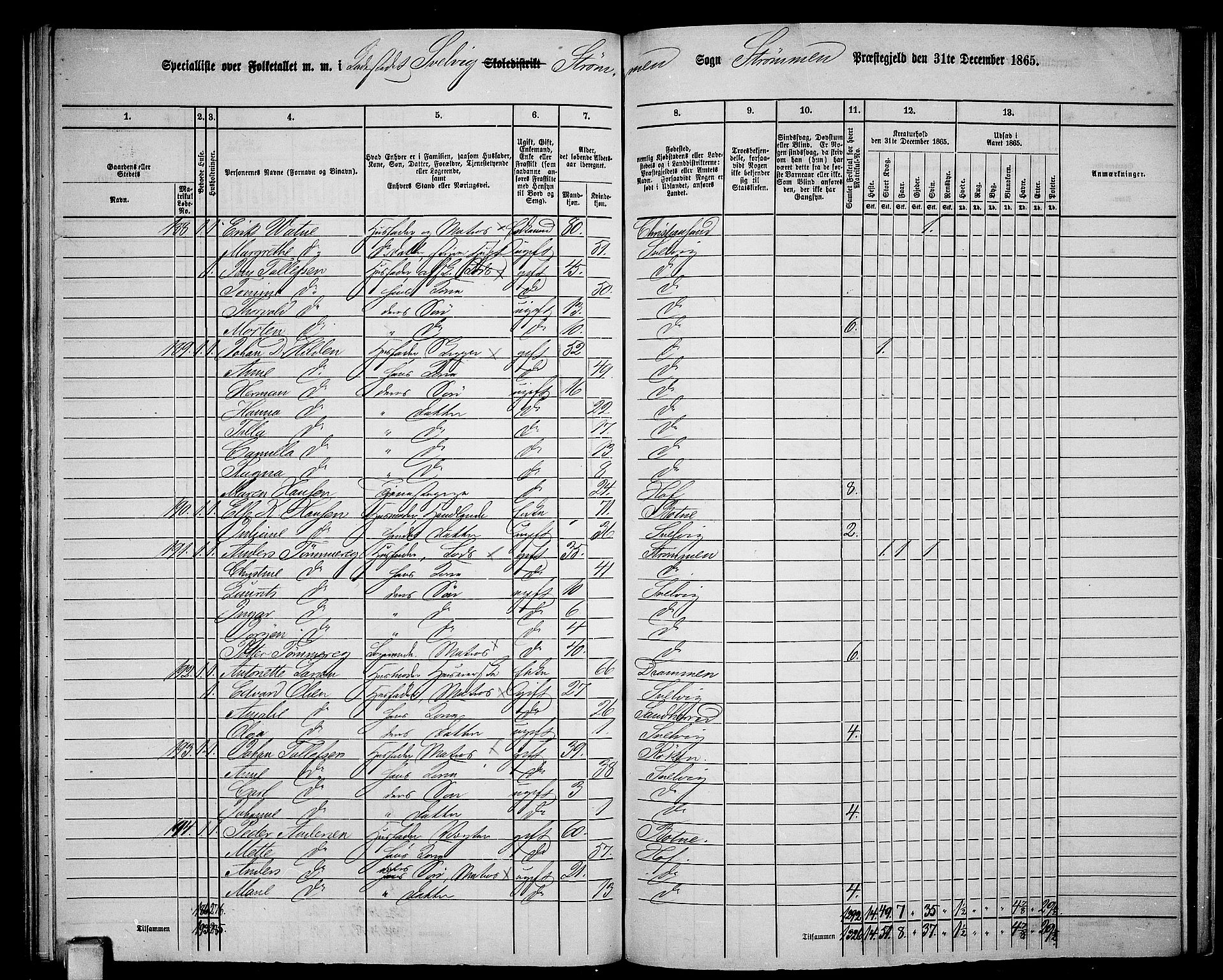 RA, 1865 census for Strømm, 1865, p. 107