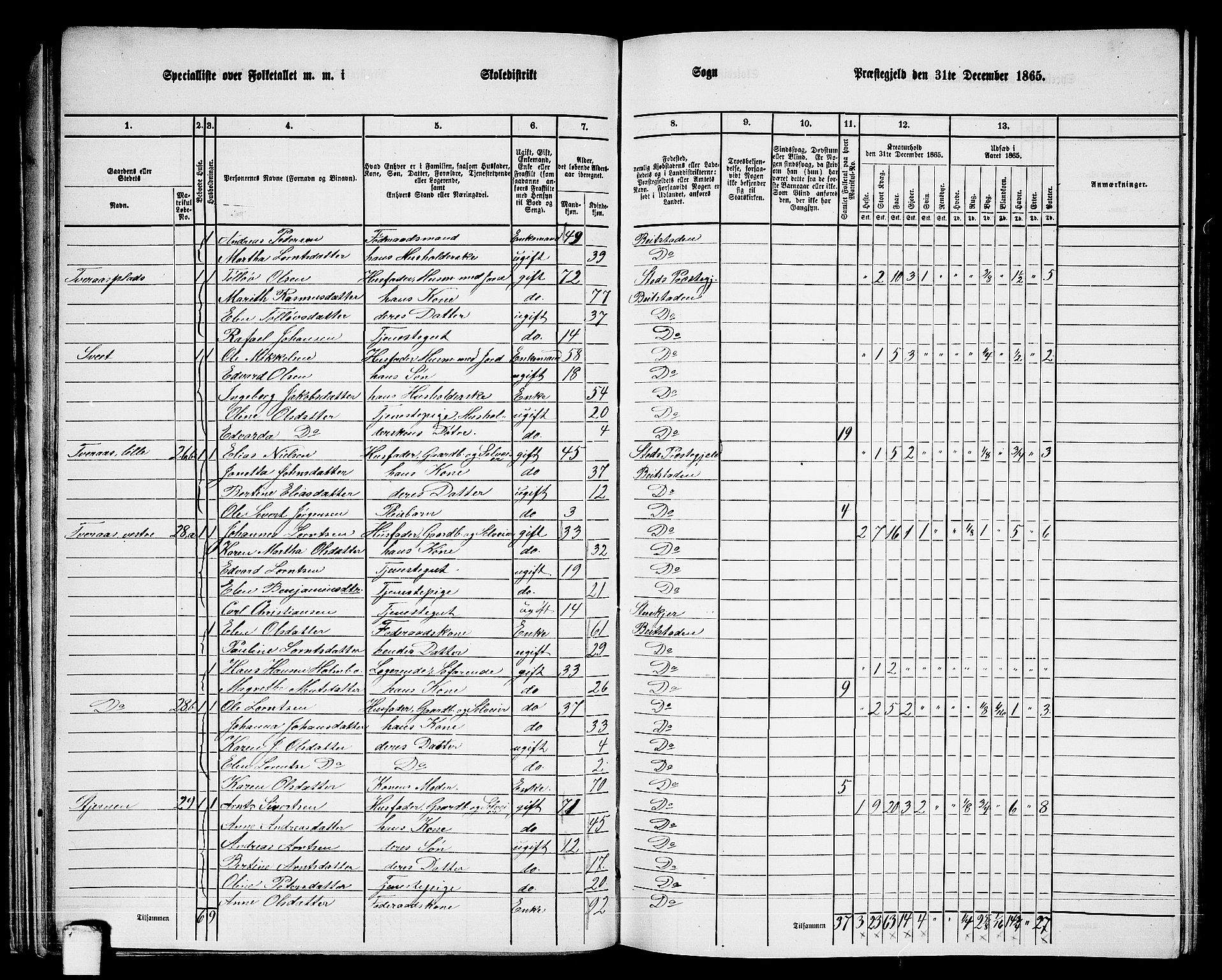 RA, 1865 census for Beitstad, 1865, p. 49