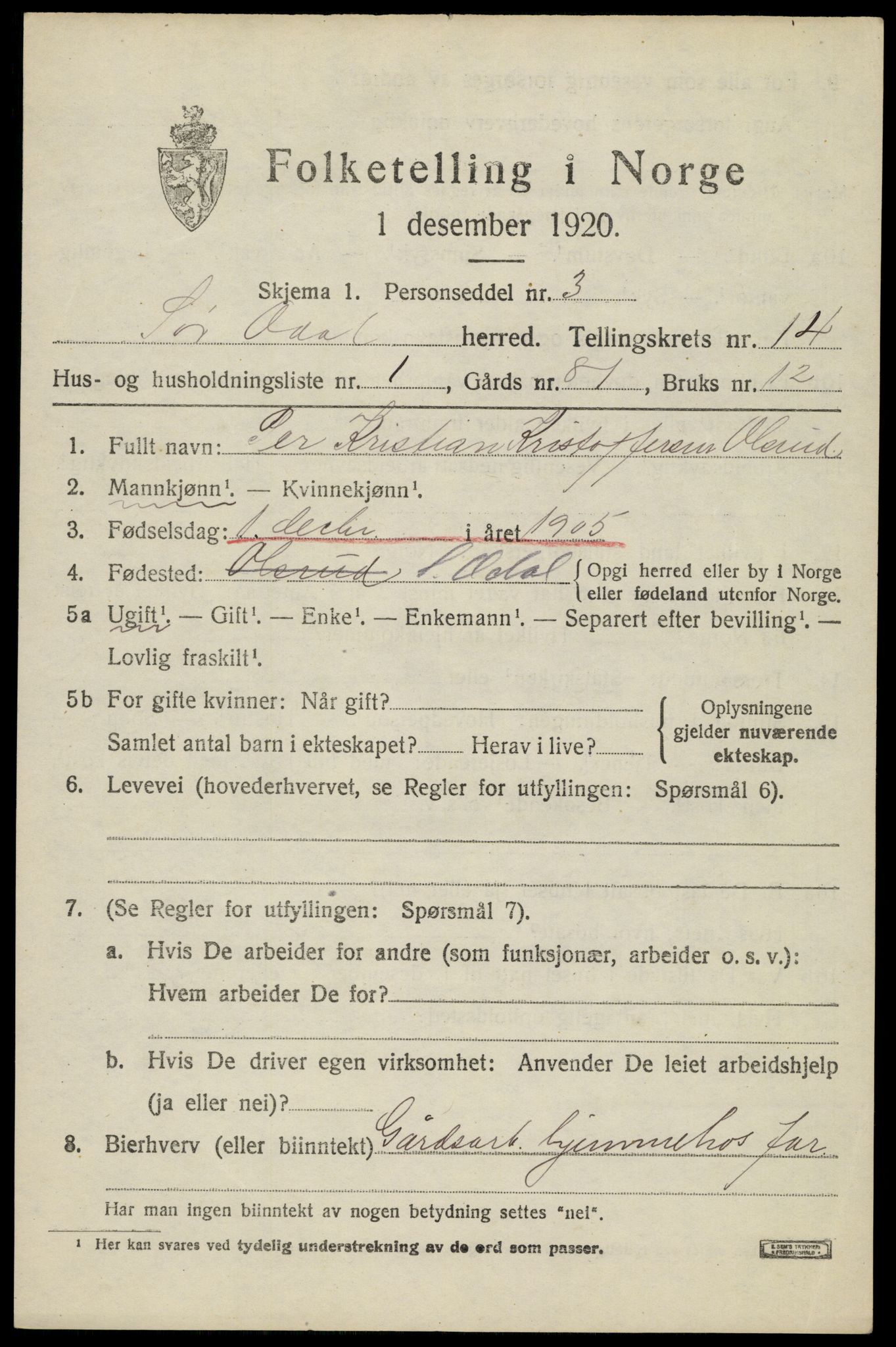 SAH, 1920 census for Sør-Odal, 1920, p. 13919