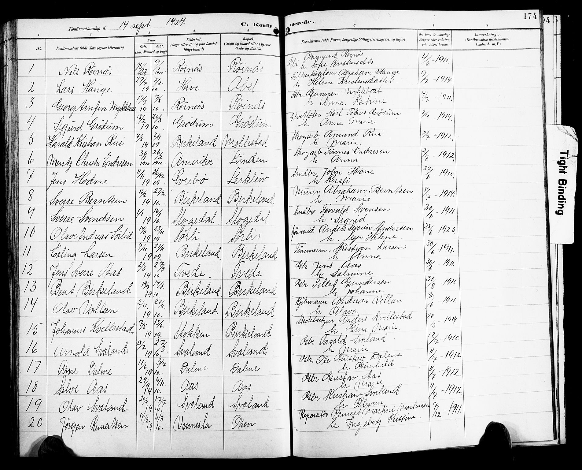 Birkenes sokneprestkontor, SAK/1111-0004/F/Fb/L0004: Parish register (copy) no. B 4, 1893-1930, p. 174