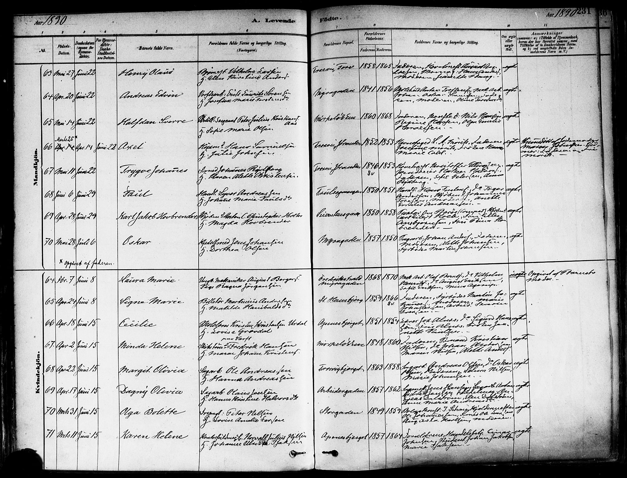 Fredrikstad domkirkes prestekontor Kirkebøker, SAO/A-10906/F/Fa/L0002: Parish register (official) no. 2, 1878-1894, p. 231
