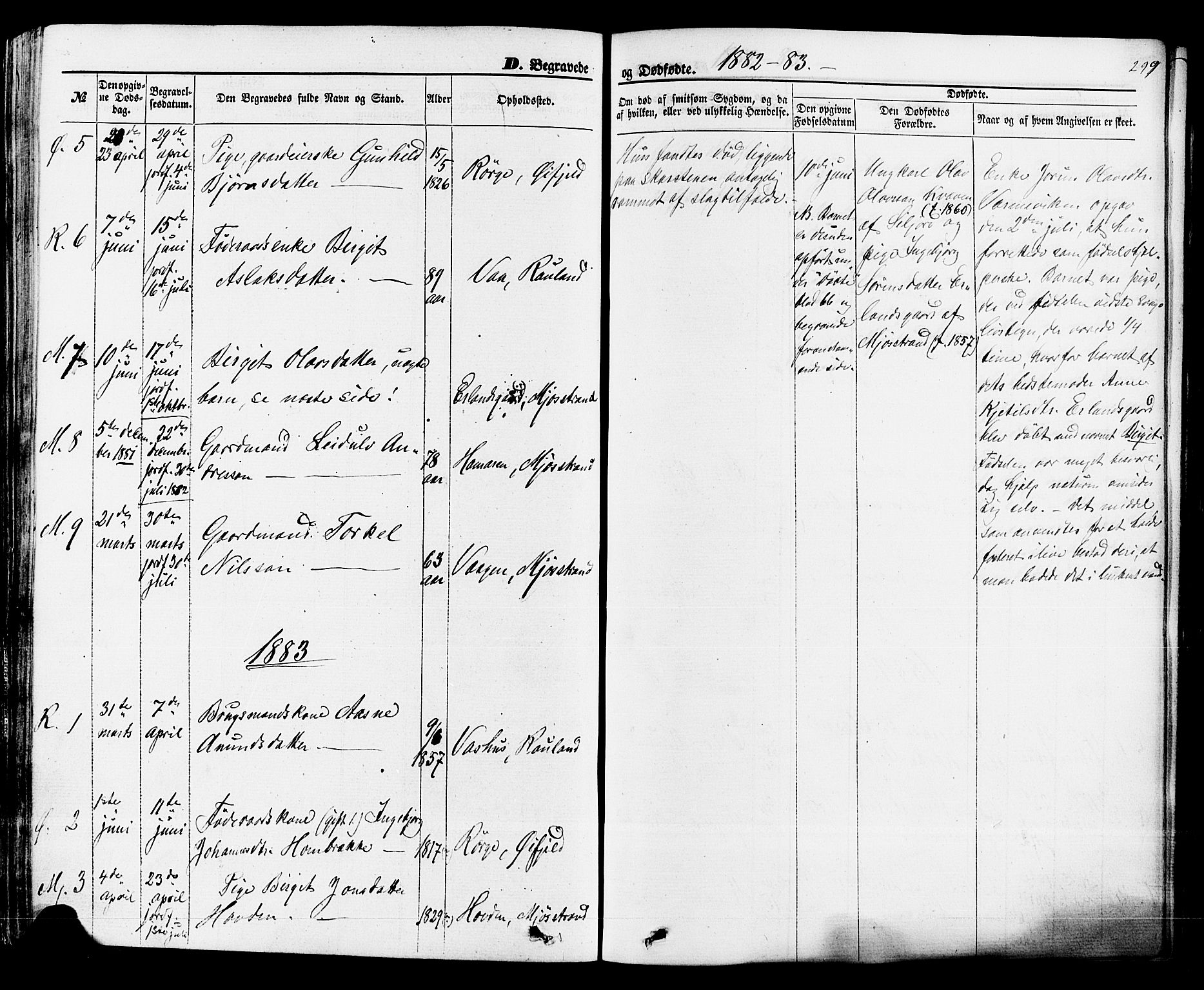 Rauland kirkebøker, SAKO/A-292/F/Fa/L0003: Parish register (official) no. 3, 1859-1886, p. 299
