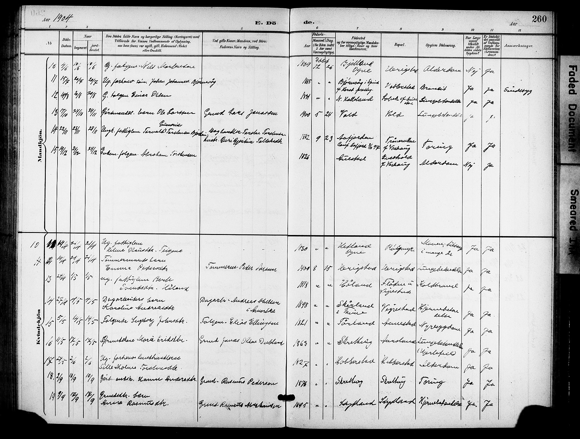 Hå sokneprestkontor, AV/SAST-A-101801/001/30BB/L0006: Parish register (copy) no. B 6, 1900-1924, p. 260