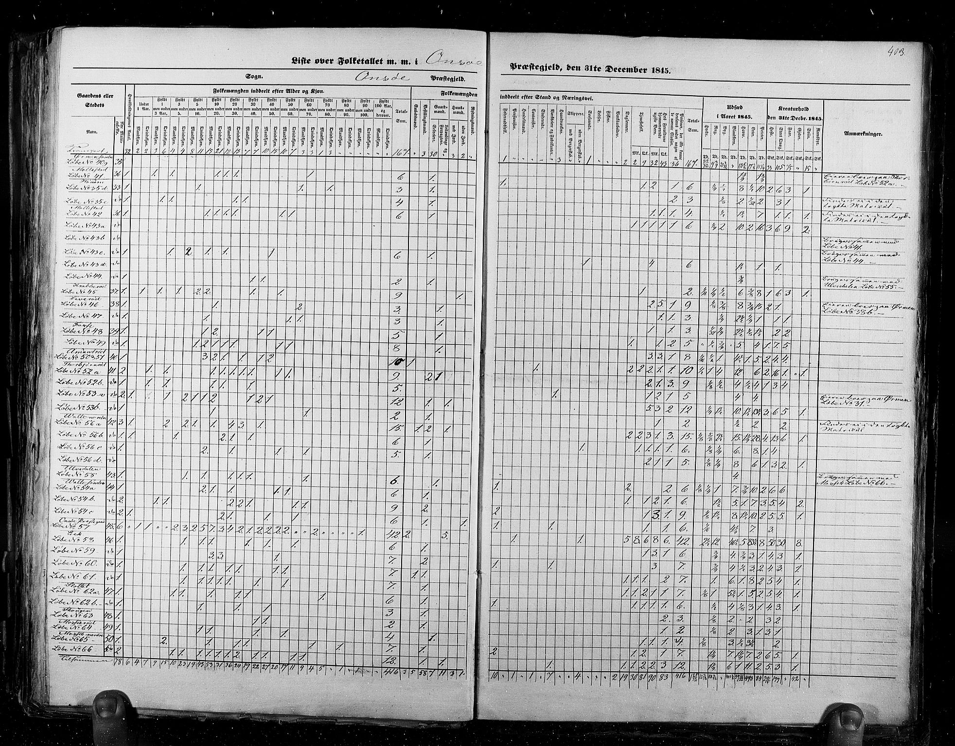 RA, Census 1845, vol. 2: Smålenenes amt og Akershus amt, 1845, p. 403