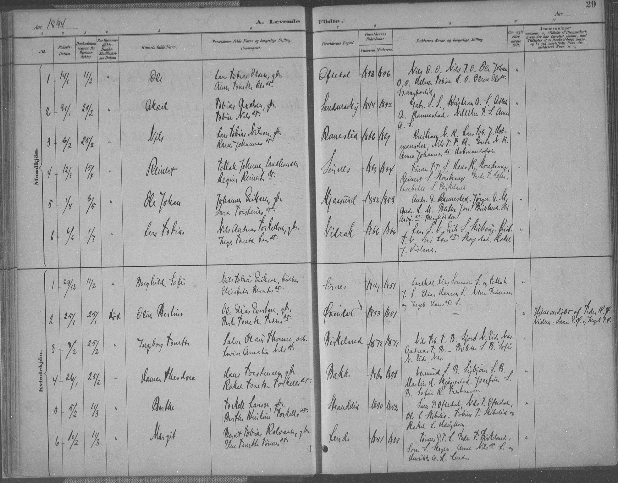 Bakke sokneprestkontor, SAK/1111-0002/F/Fa/Faa/L0008: Parish register (official) no. A 8, 1887-1911, p. 29