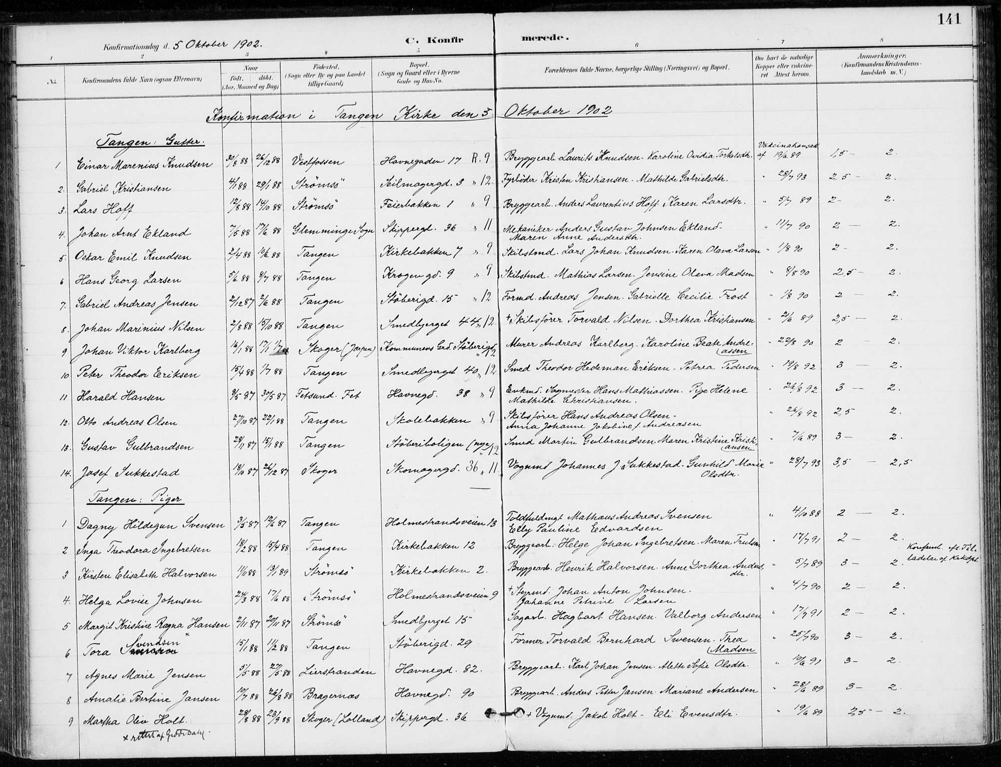 Strømsø kirkebøker, AV/SAKO-A-246/F/Fb/L0007: Parish register (official) no. II 7, 1887-1928, p. 141