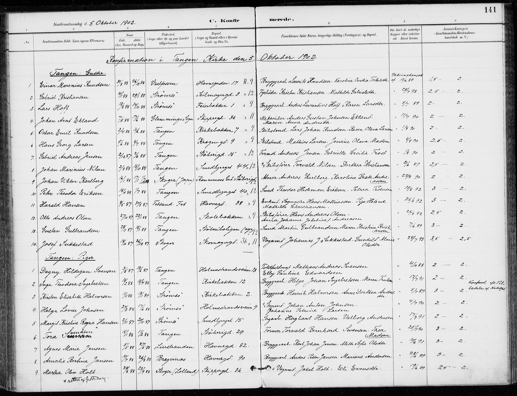 Strømsø kirkebøker, SAKO/A-246/F/Fb/L0007: Parish register (official) no. II 7, 1887-1928, p. 141