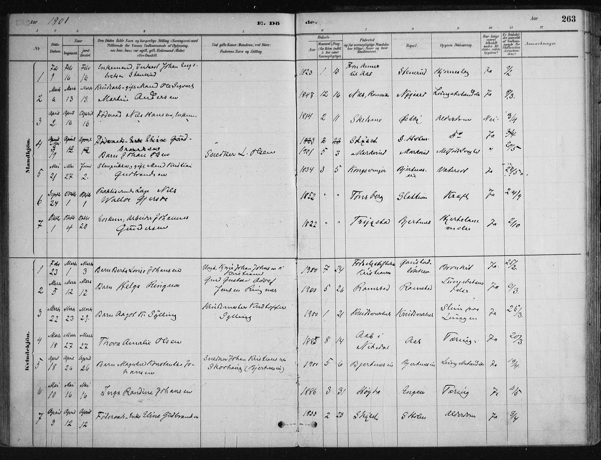 Nittedal prestekontor Kirkebøker, SAO/A-10365a/F/Fa/L0007: Parish register (official) no. I 7, 1879-1901, p. 263