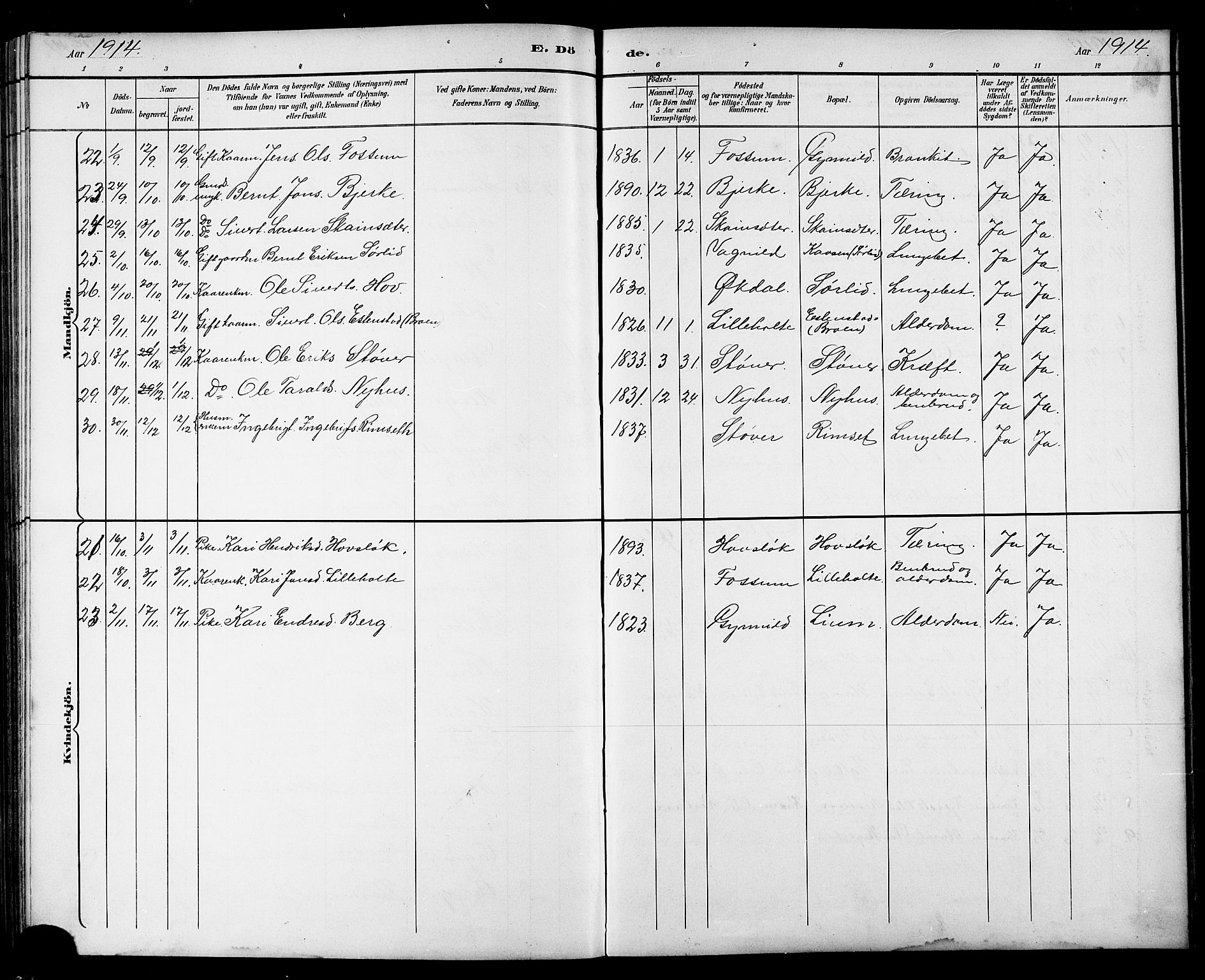 Ministerialprotokoller, klokkerbøker og fødselsregistre - Sør-Trøndelag, AV/SAT-A-1456/689/L1044: Parish register (copy) no. 689C03, 1893-1922