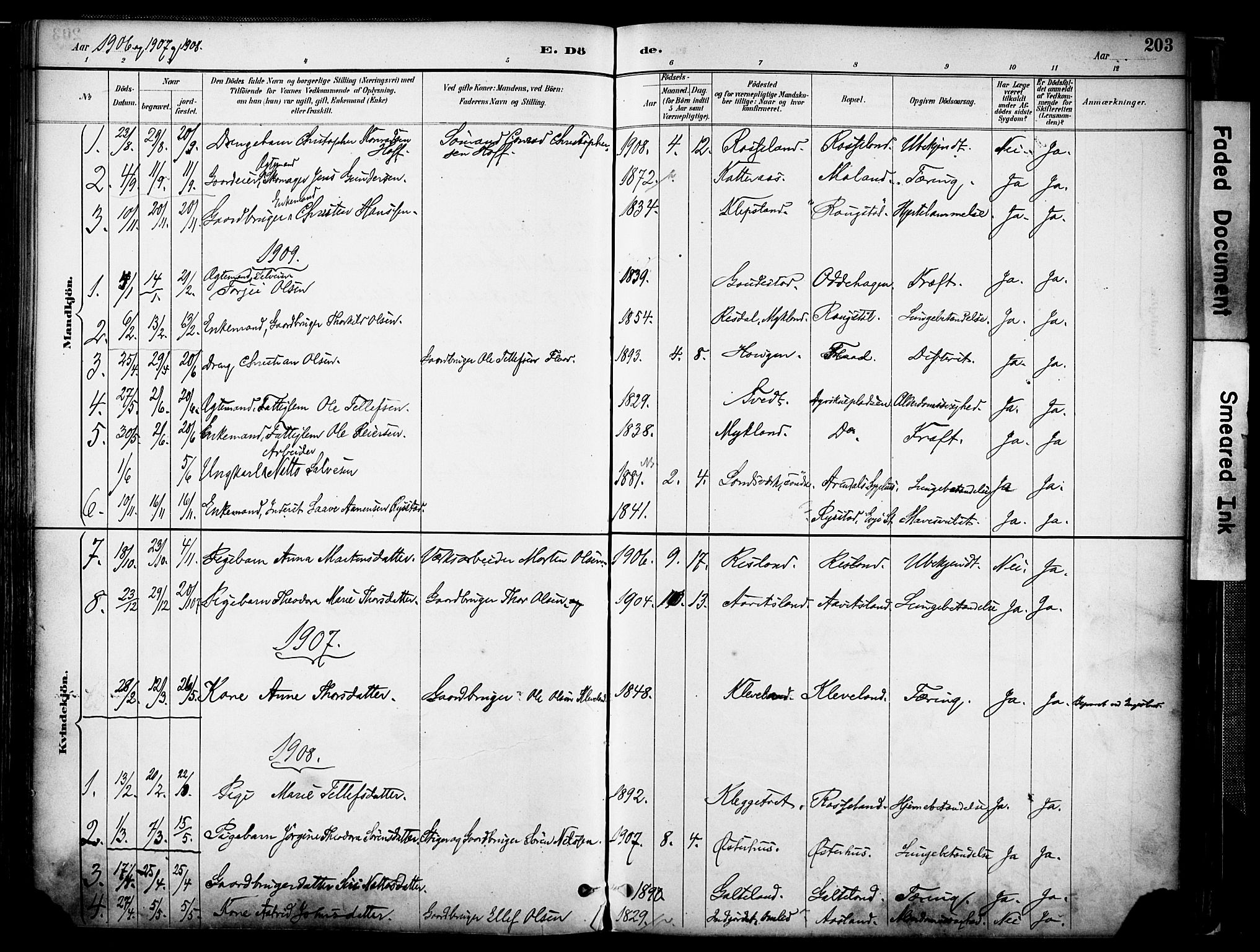 Evje sokneprestkontor, AV/SAK-1111-0008/F/Fa/Faa/L0007: Parish register (official) no. A 7, 1884-1909, p. 203