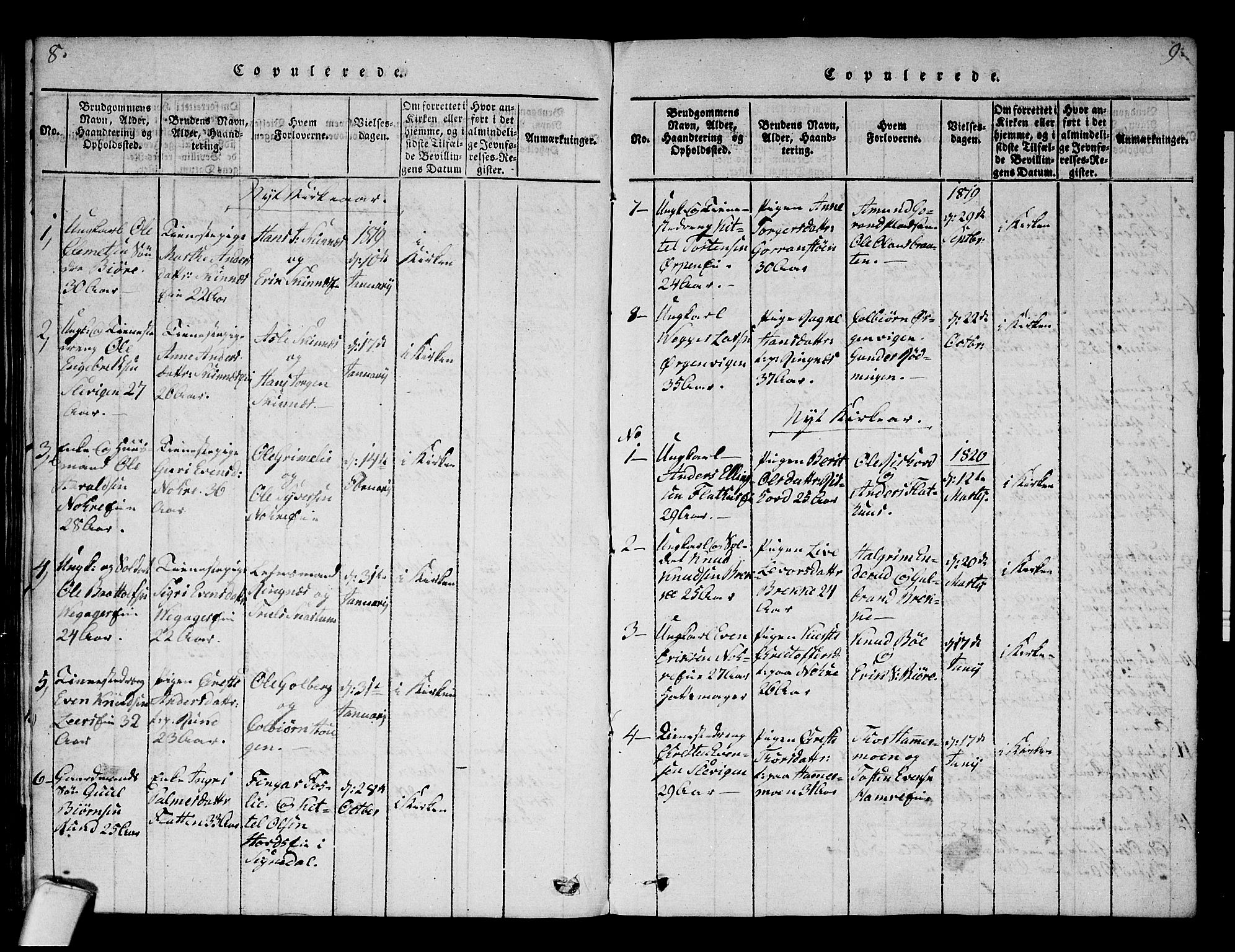 Krødsherad kirkebøker, SAKO/A-19/F/Fa/L0001: Parish register (official) no. 1, 1815-1829, p. 8-9