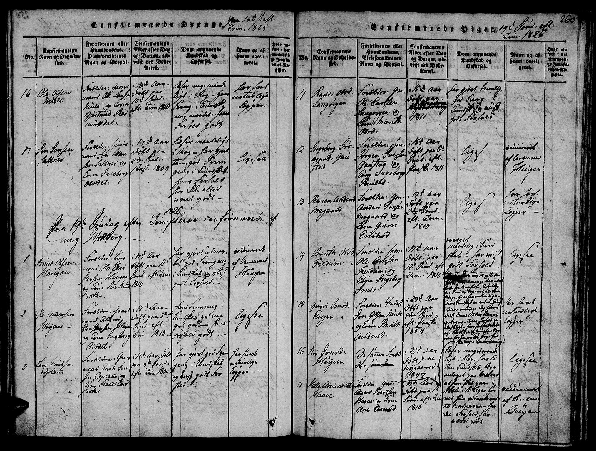Ministerialprotokoller, klokkerbøker og fødselsregistre - Sør-Trøndelag, SAT/A-1456/612/L0372: Parish register (official) no. 612A06 /1, 1816-1828, p. 260