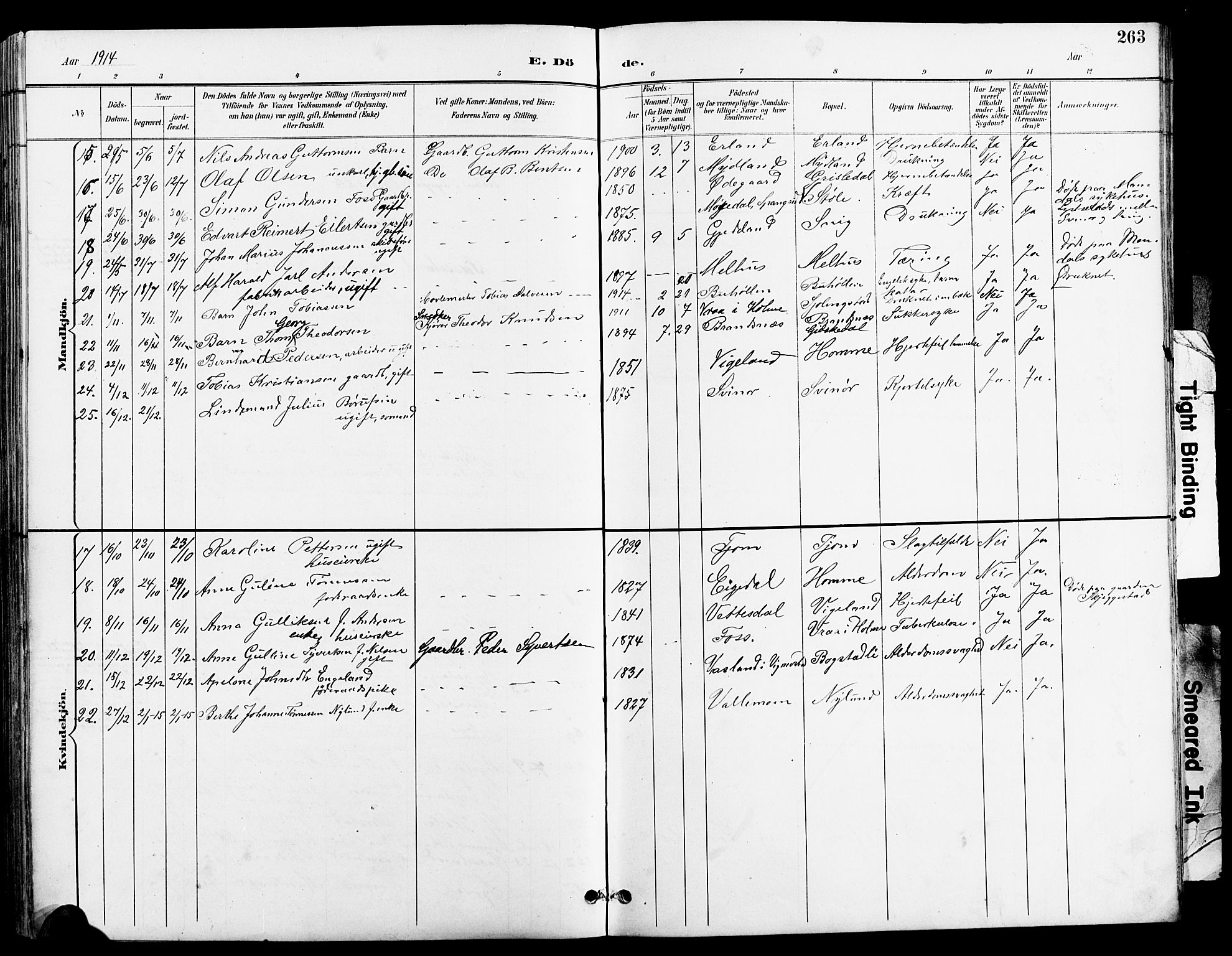 Sør-Audnedal sokneprestkontor, AV/SAK-1111-0039/F/Fb/Fbb/L0006: Parish register (copy) no. B 6, 1893-1915, p. 263