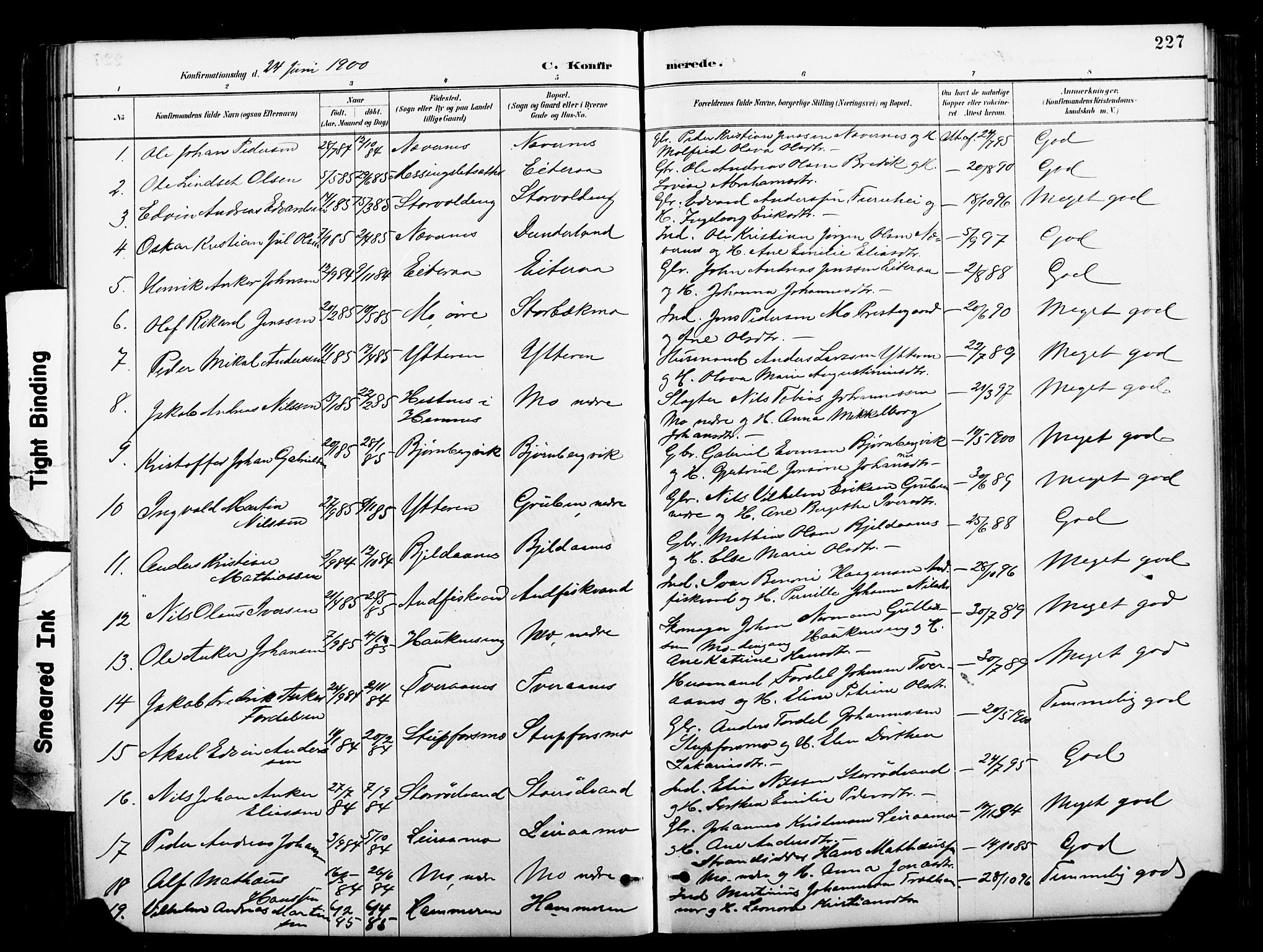 Ministerialprotokoller, klokkerbøker og fødselsregistre - Nordland, SAT/A-1459/827/L0421: Parish register (copy) no. 827C10, 1887-1906, p. 227