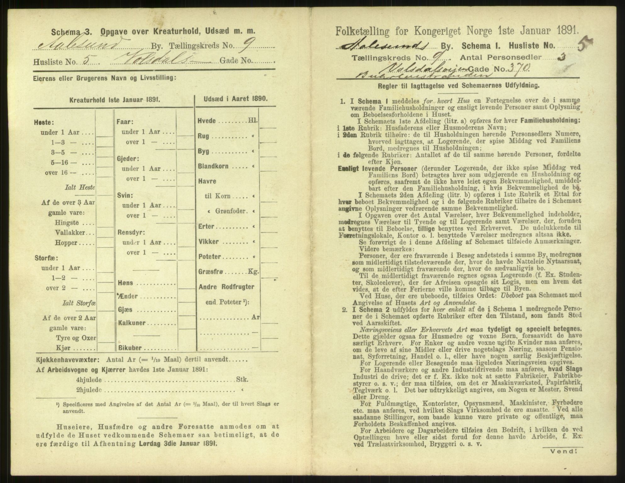 RA, 1891 census for 1501 Ålesund, 1891, p. 698