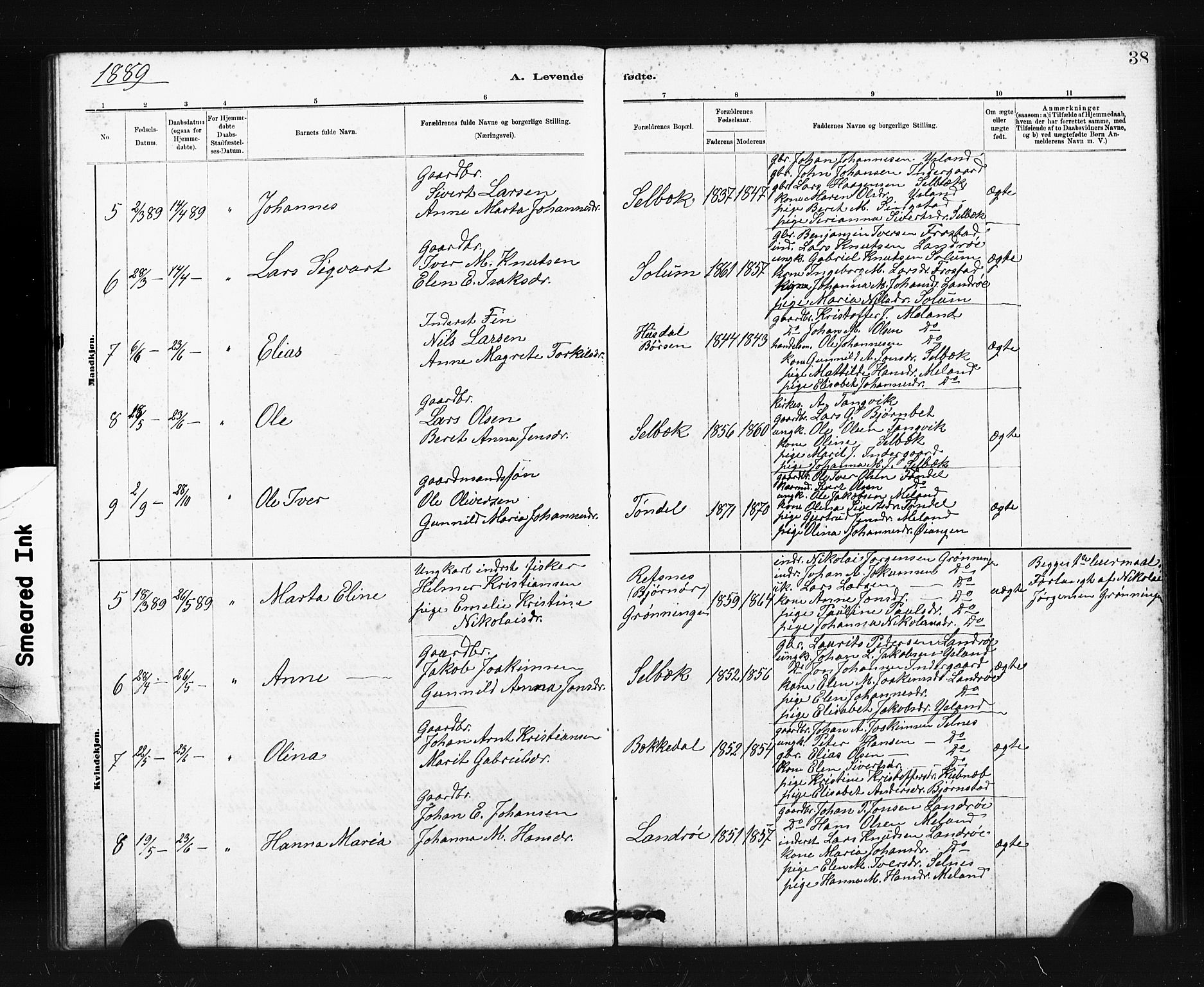 Ministerialprotokoller, klokkerbøker og fødselsregistre - Sør-Trøndelag, SAT/A-1456/663/L0761: Parish register (copy) no. 663C01, 1880-1893, p. 38