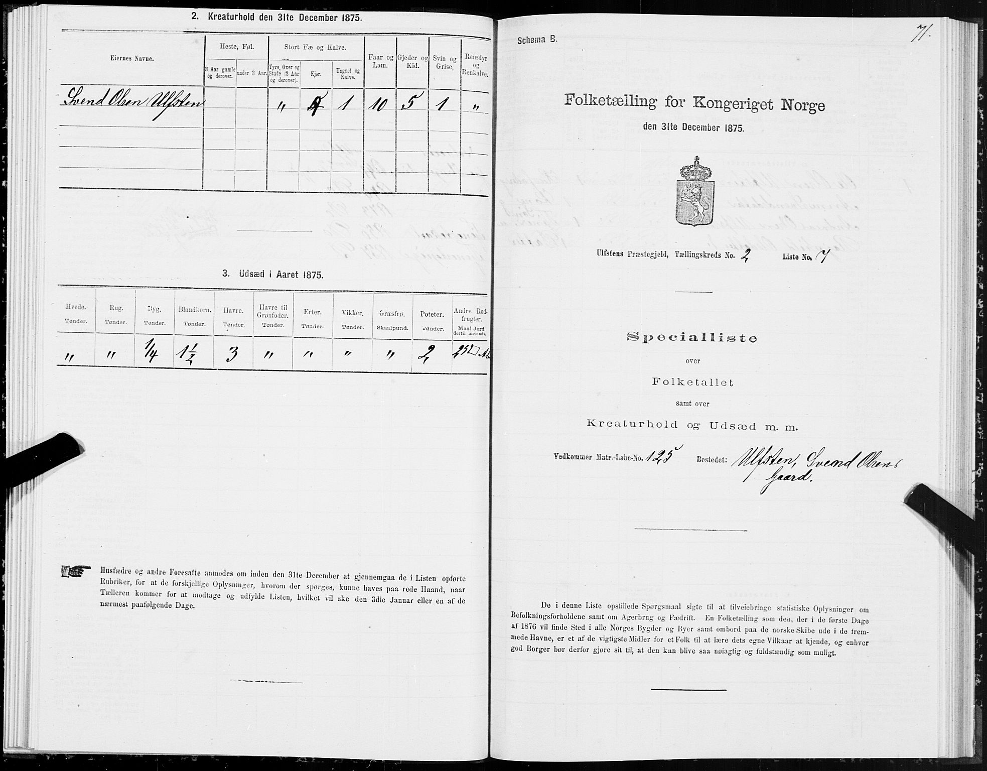 SAT, 1875 census for 1516P Ulstein, 1875, p. 1071