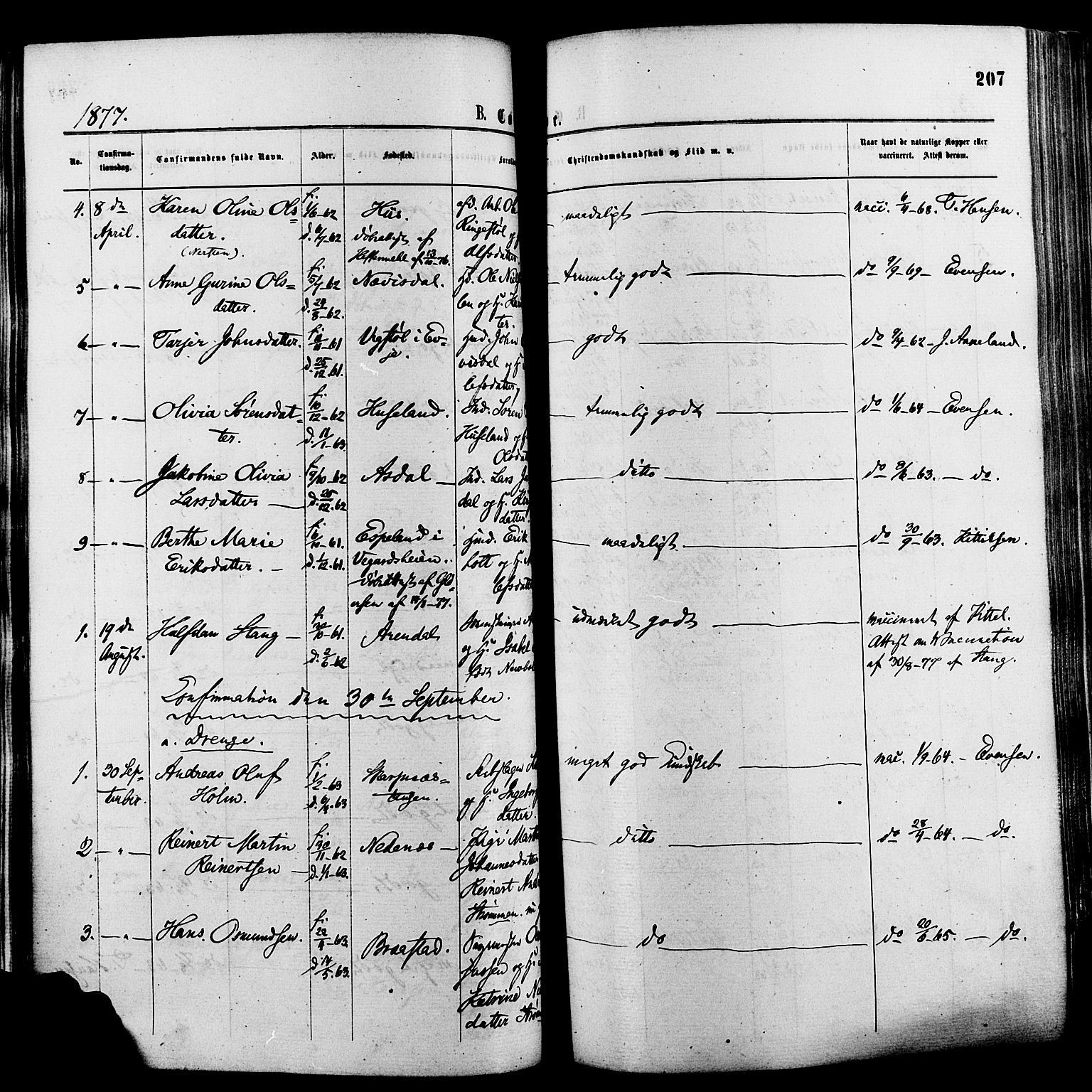 Øyestad sokneprestkontor, AV/SAK-1111-0049/F/Fa/L0016: Parish register (official) no. A 16, 1874-1886, p. 207