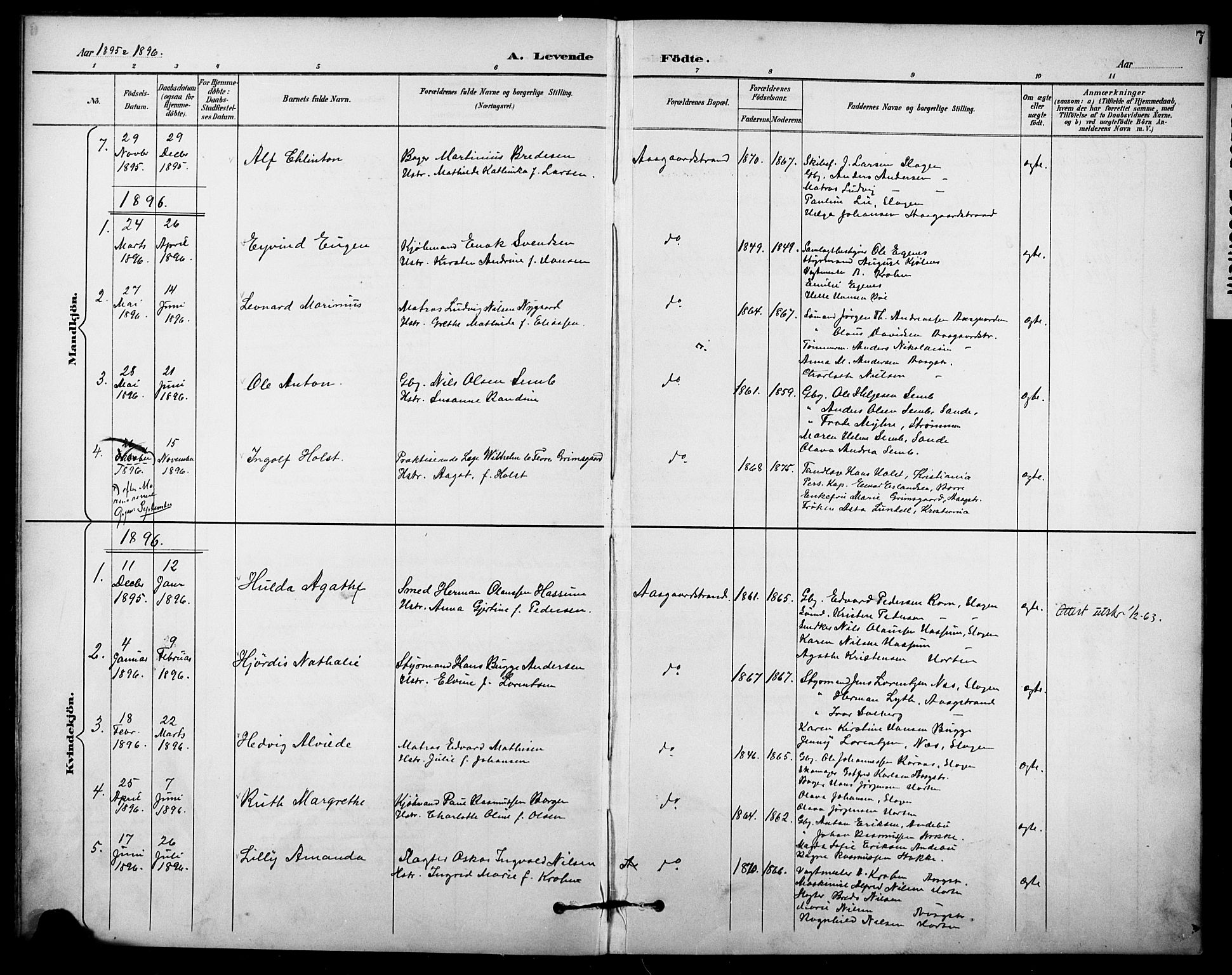 Borre kirkebøker, SAKO/A-338/F/Fb/L0002: Parish register (official) no. II 2, 1893-1905, p. 7