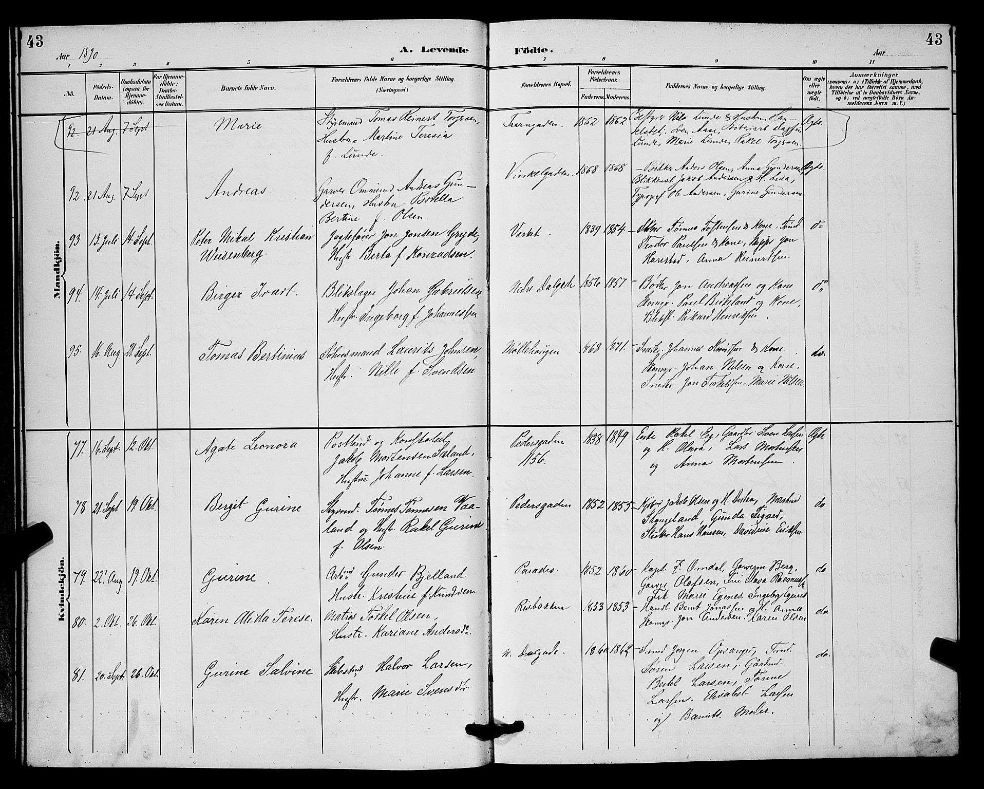 St. Johannes sokneprestkontor, AV/SAST-A-101814/001/30/30BB/L0002: Parish register (copy) no. B 2, 1888-1901, p. 43