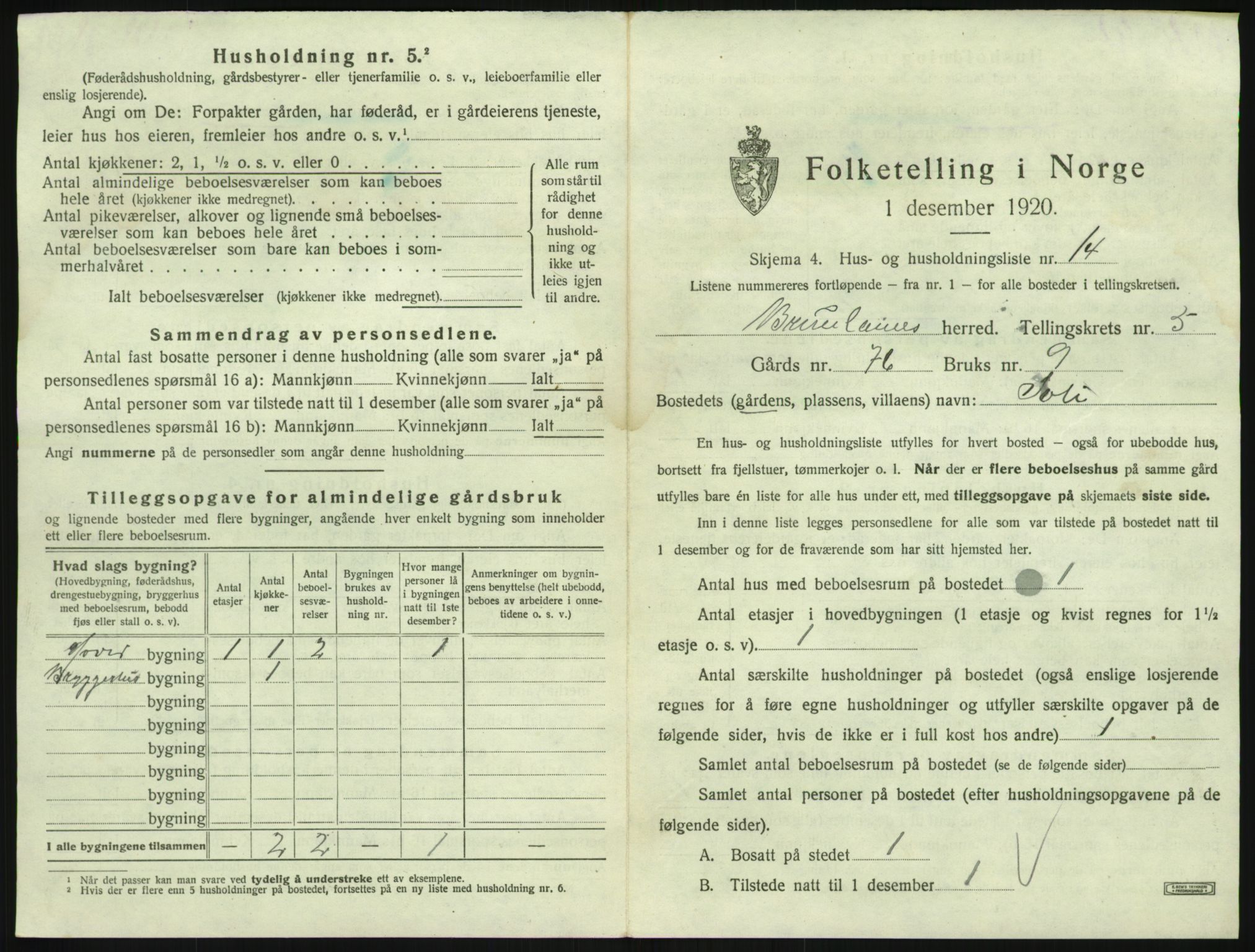 SAKO, 1920 census for Brunlanes, 1920, p. 847