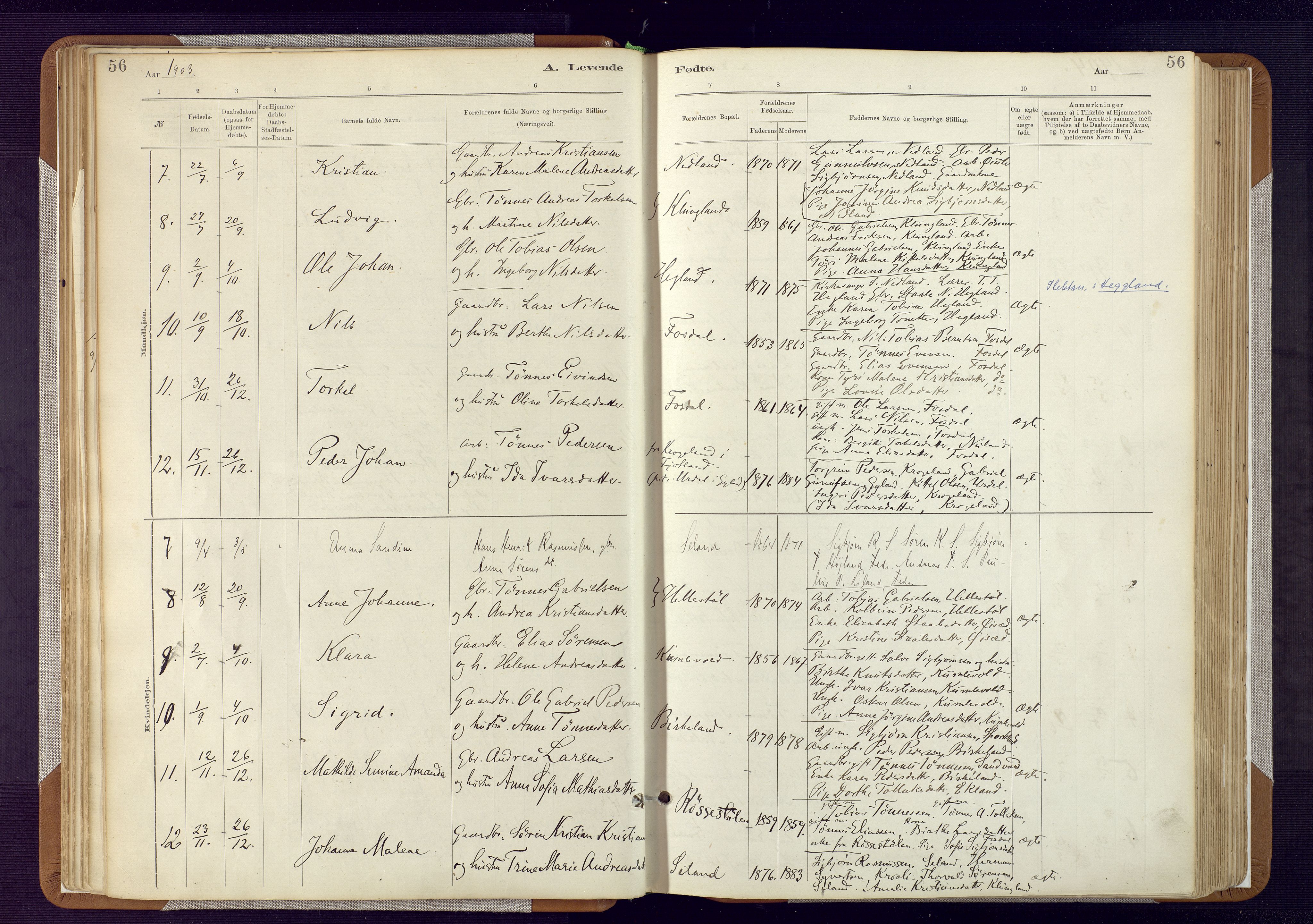 Bakke sokneprestkontor, AV/SAK-1111-0002/F/Fa/Fab/L0003: Parish register (official) no. A 3, 1884-1921, p. 56