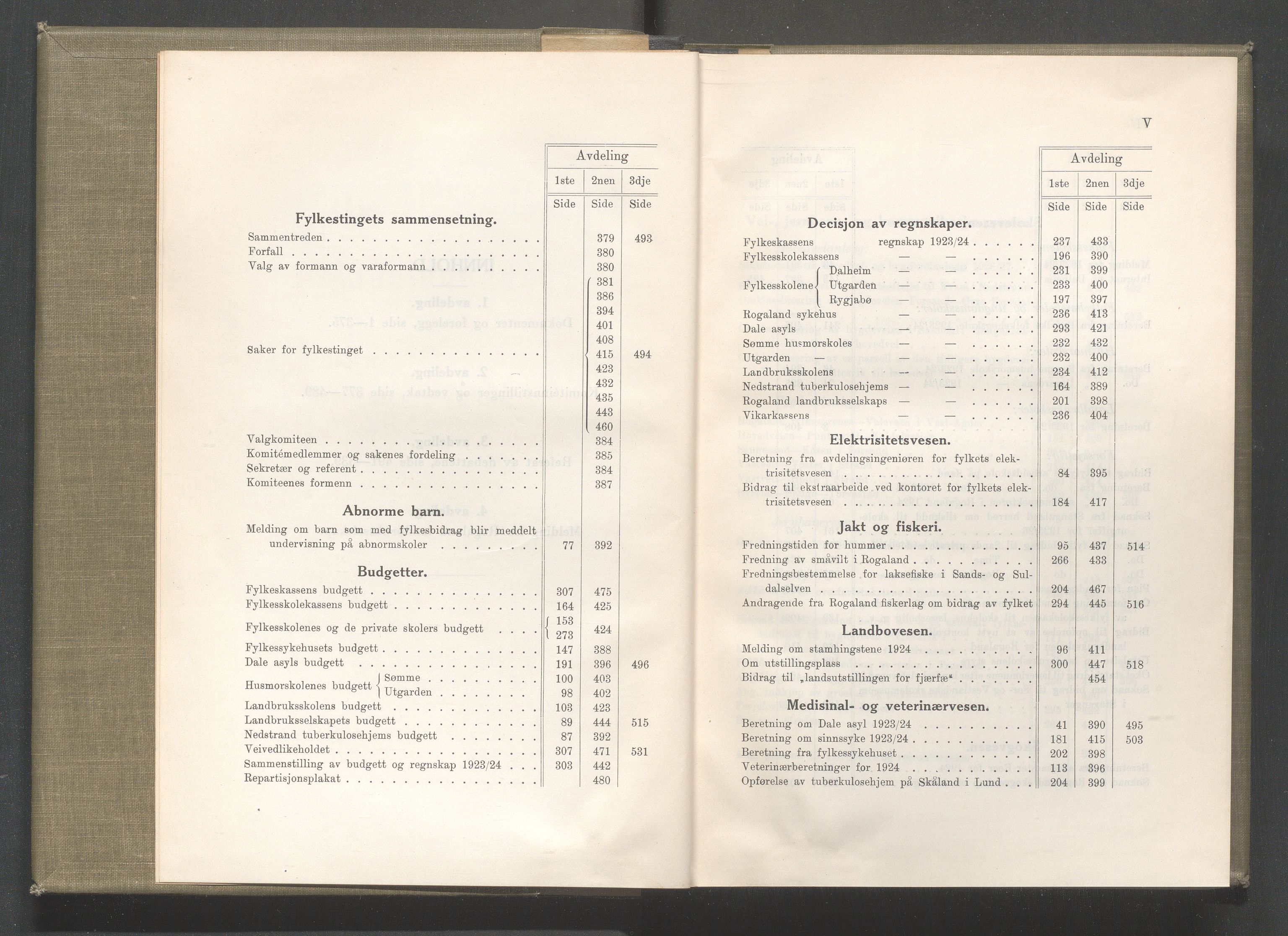 Rogaland fylkeskommune - Fylkesrådmannen , IKAR/A-900/A/Aa/Aaa/L0044: Møtebok , 1925, p. IV-V