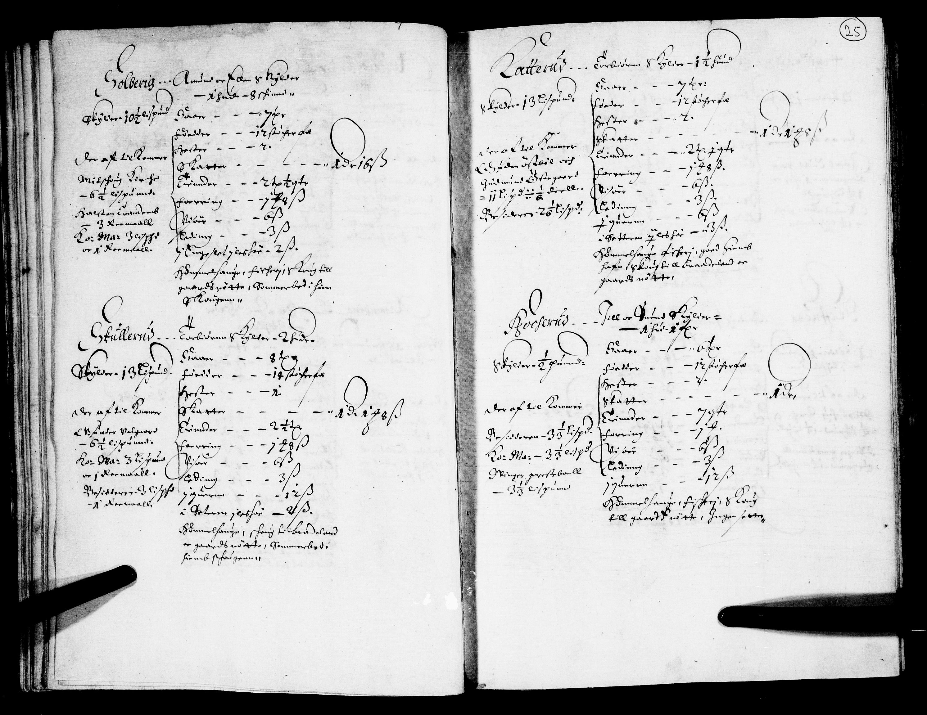 Rentekammeret inntil 1814, Realistisk ordnet avdeling, AV/RA-EA-4070/N/Nb/Nba/L0011: Odal, Solør og Østerdalen fogderi, 1667, p. 24b-25a