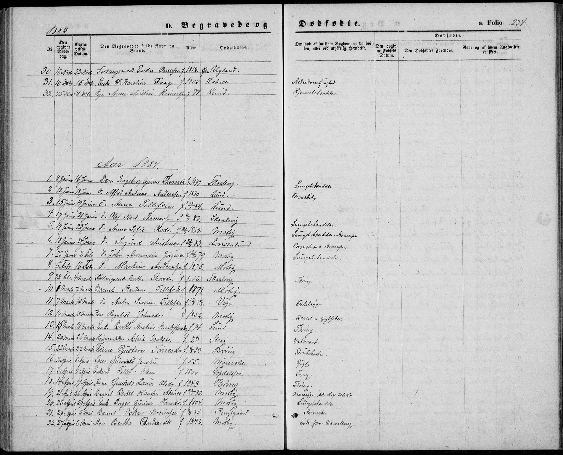 Oddernes sokneprestkontor, SAK/1111-0033/F/Fb/Fba/L0007: Parish register (copy) no. B 7, 1869-1887, p. 234