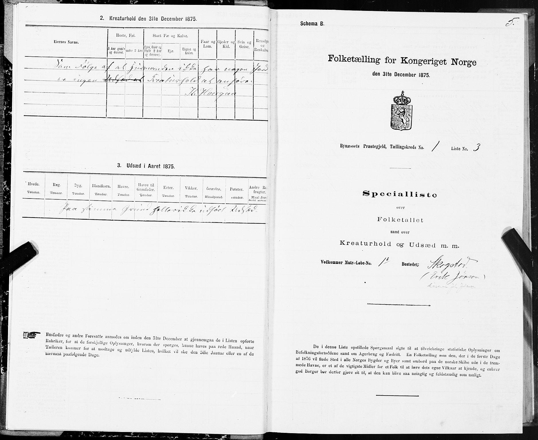 SAT, 1875 census for 1655P Byneset, 1875, p. 1005