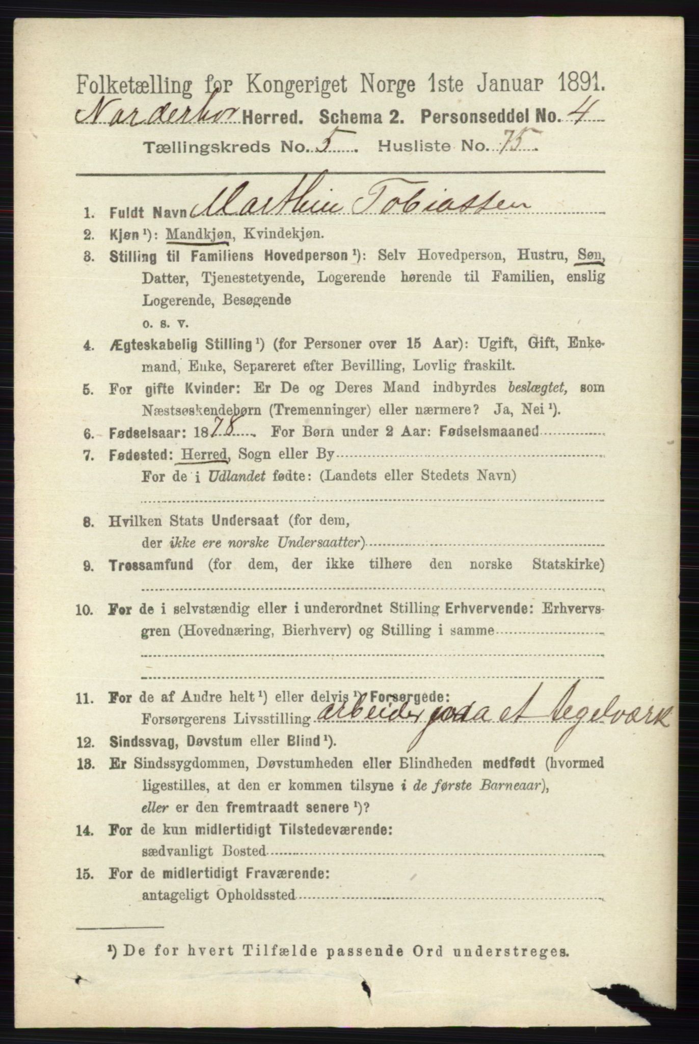 RA, 1891 census for 0613 Norderhov, 1891, p. 3926