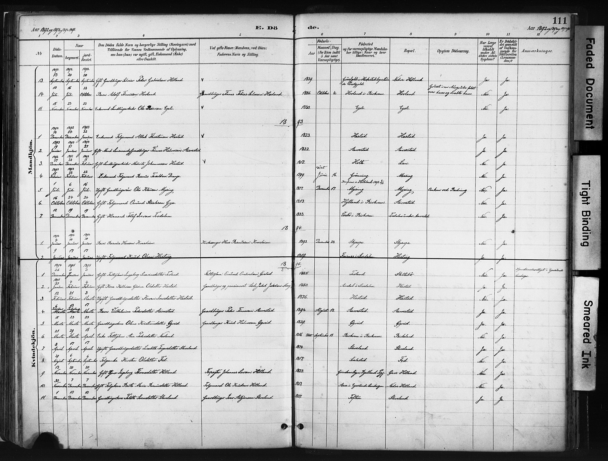 Helleland sokneprestkontor, SAST/A-101810: Parish register (official) no. A 8, 1887-1907, p. 111